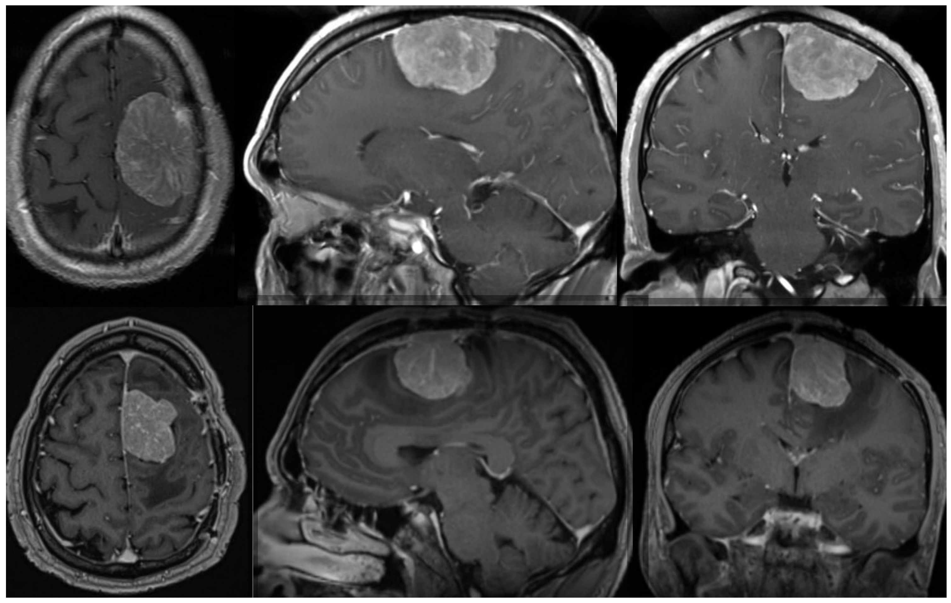 Diagnostics 14 01782 g001 Diagnostics 14 01782 g001