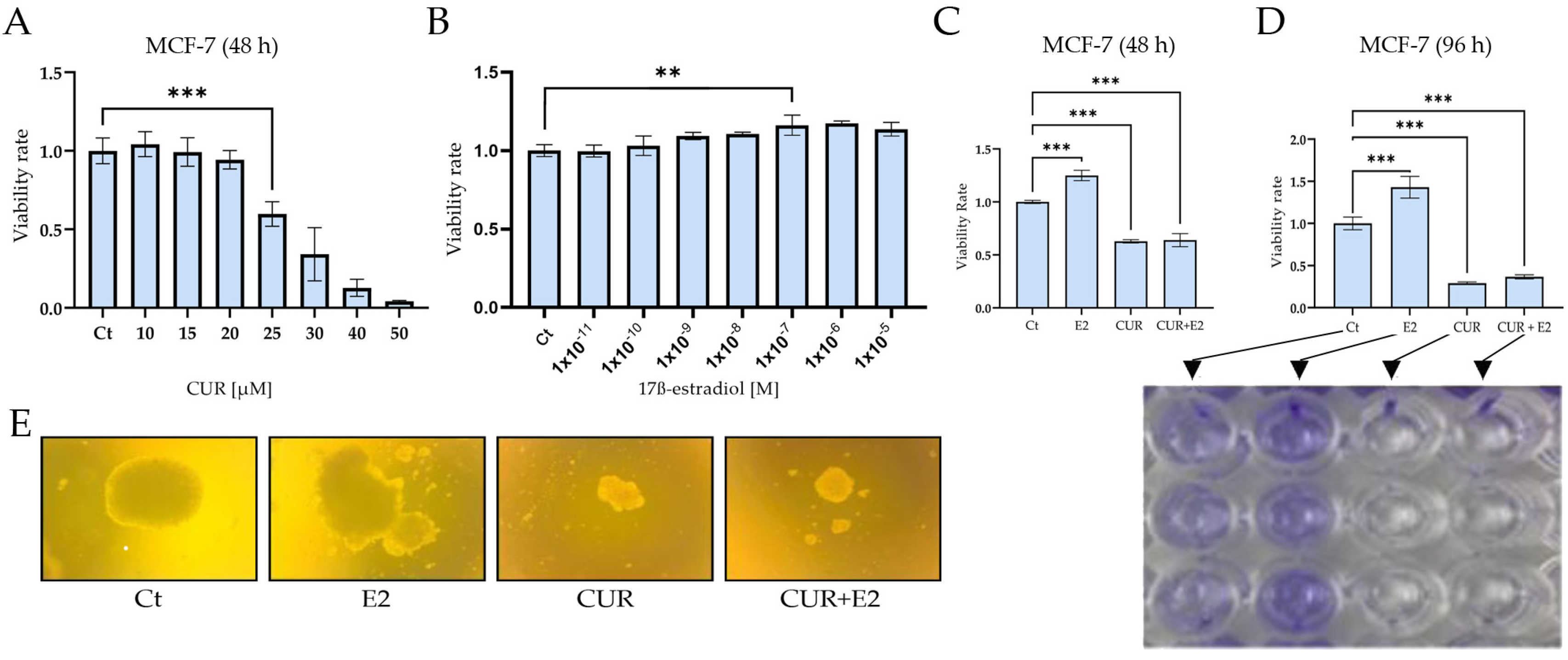 Diagnostics 14 01785 g001