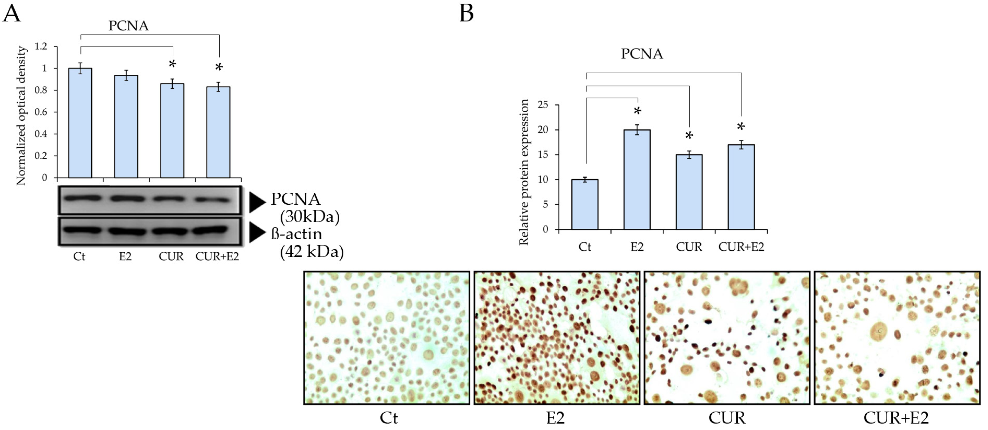 Diagnostics 14 01785 g002