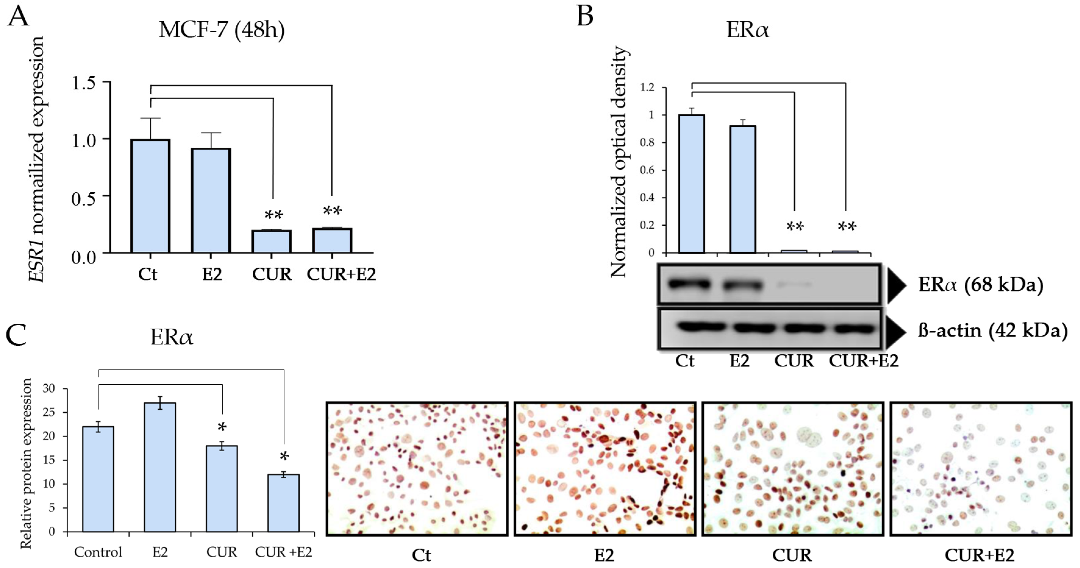 Diagnostics 14 01785 g003