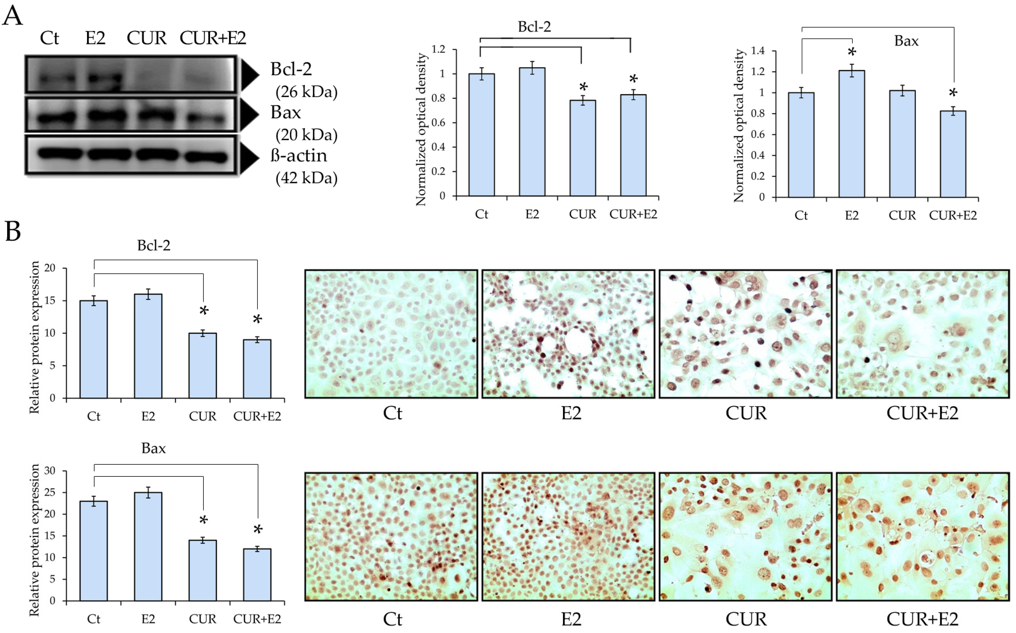 Diagnostics 14 01785 g004