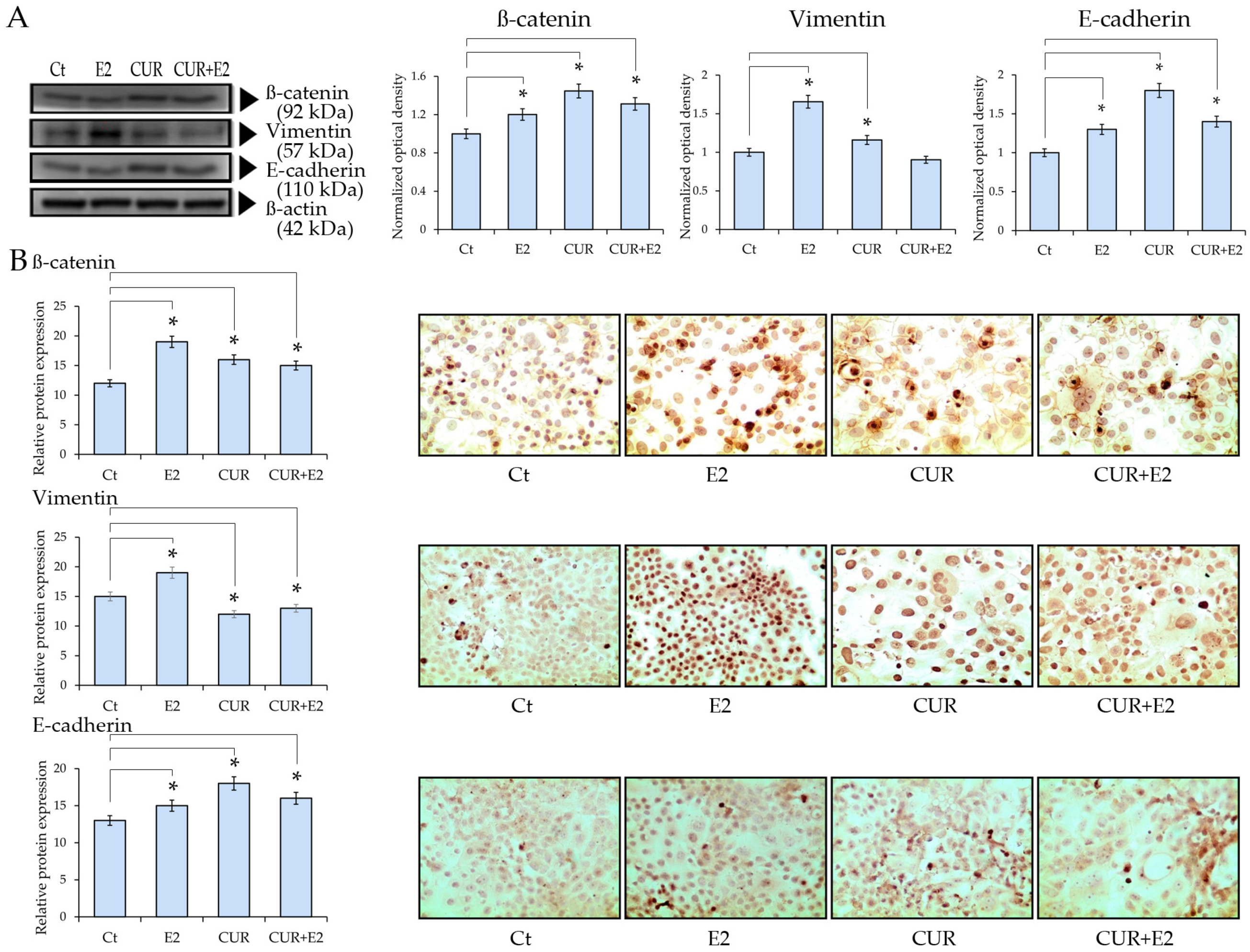 Diagnostics 14 01785 g006