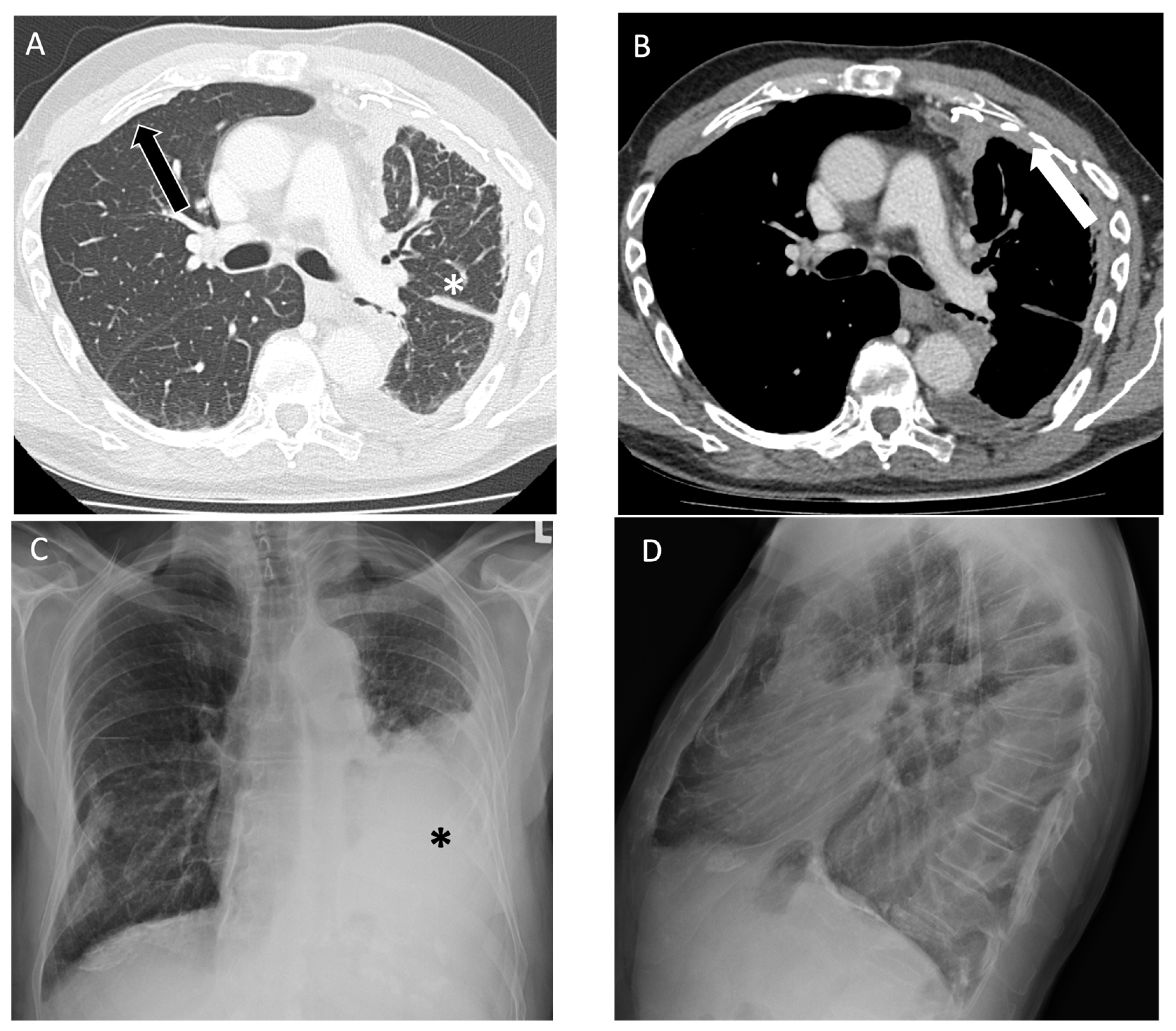 Diagnostics 14 01786 g004 Diagnostics 14 01786 g004