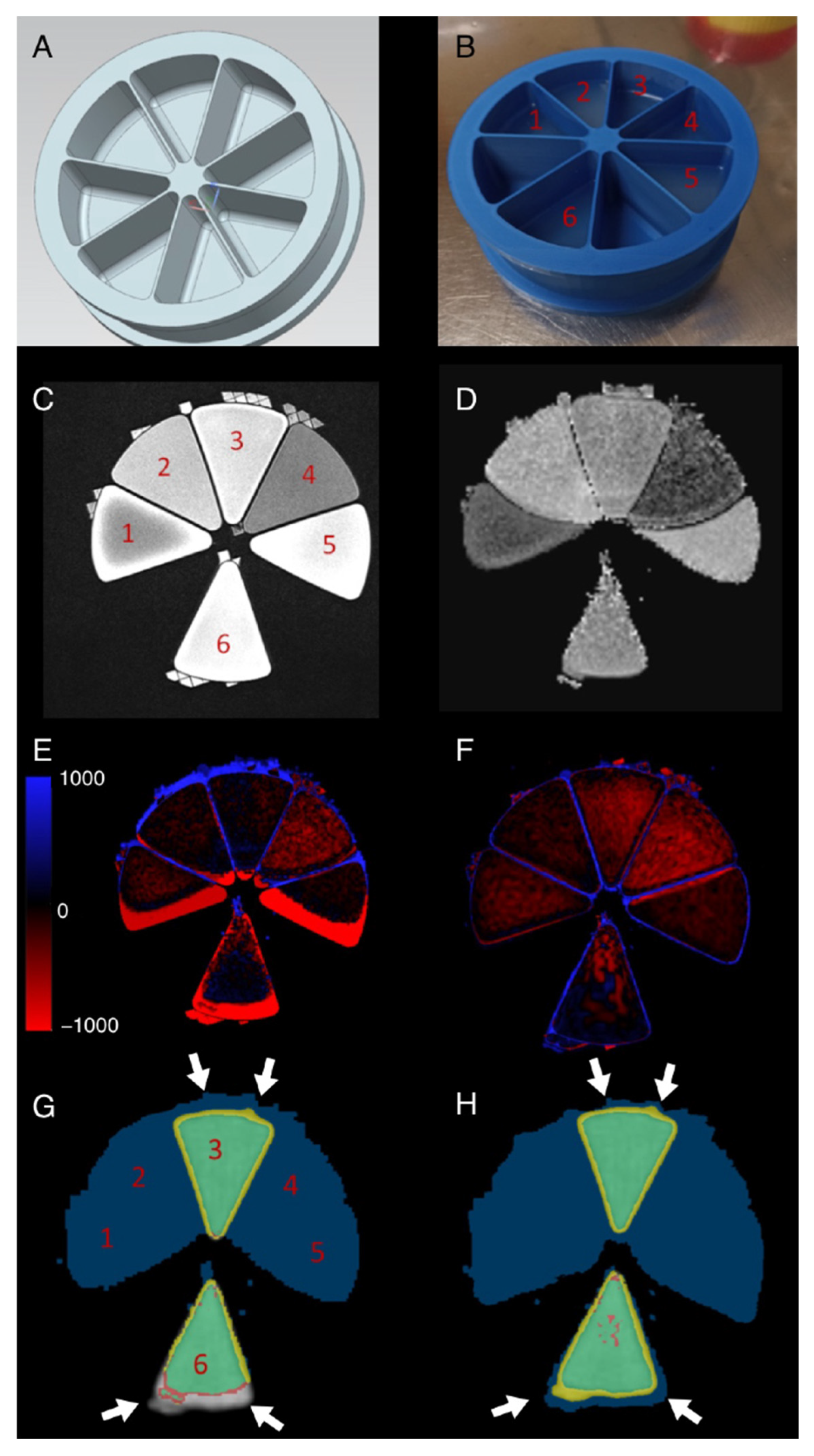 Diagnostics 14 01787 g001