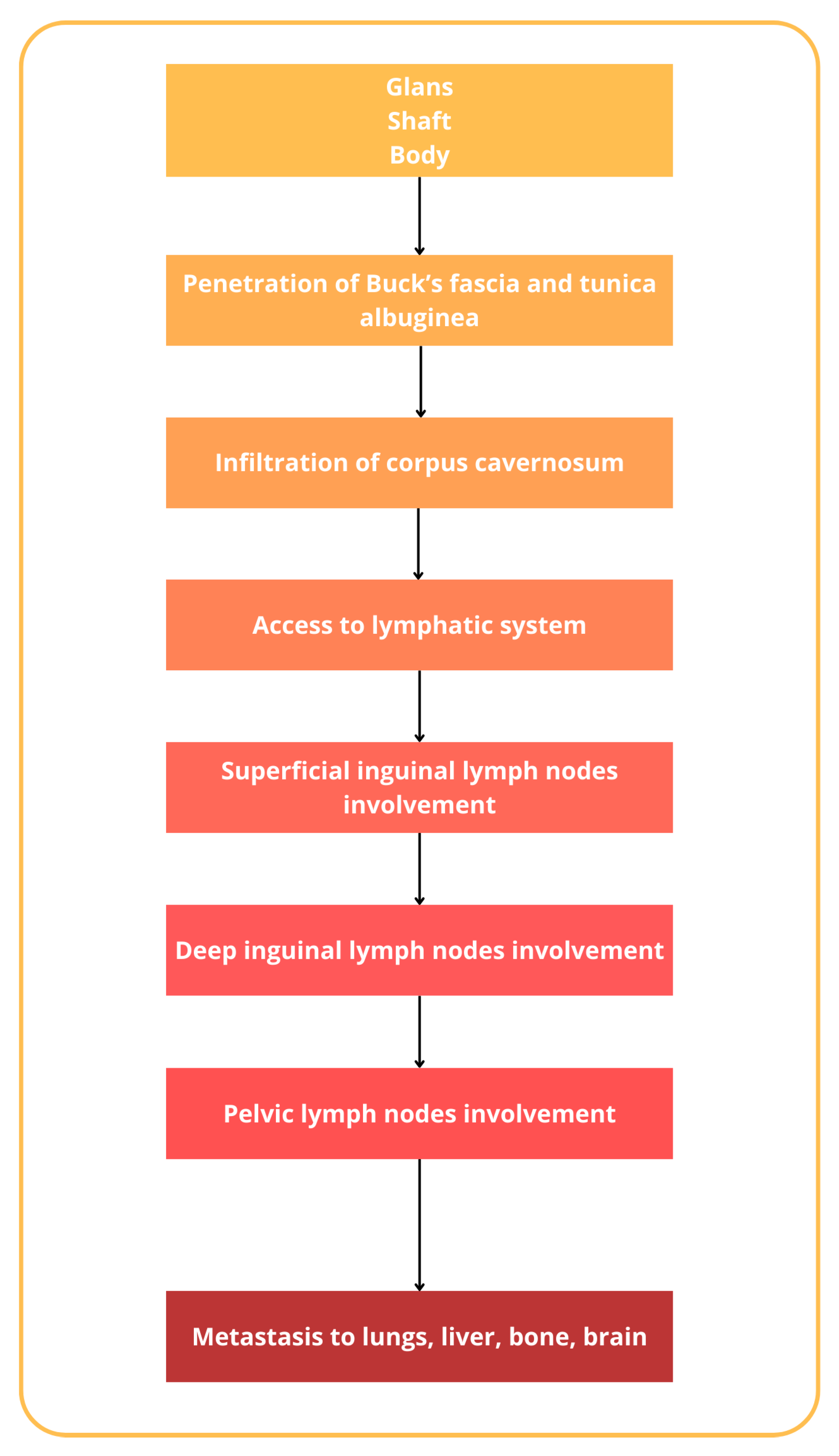 Diagnostics 14 01790 g003