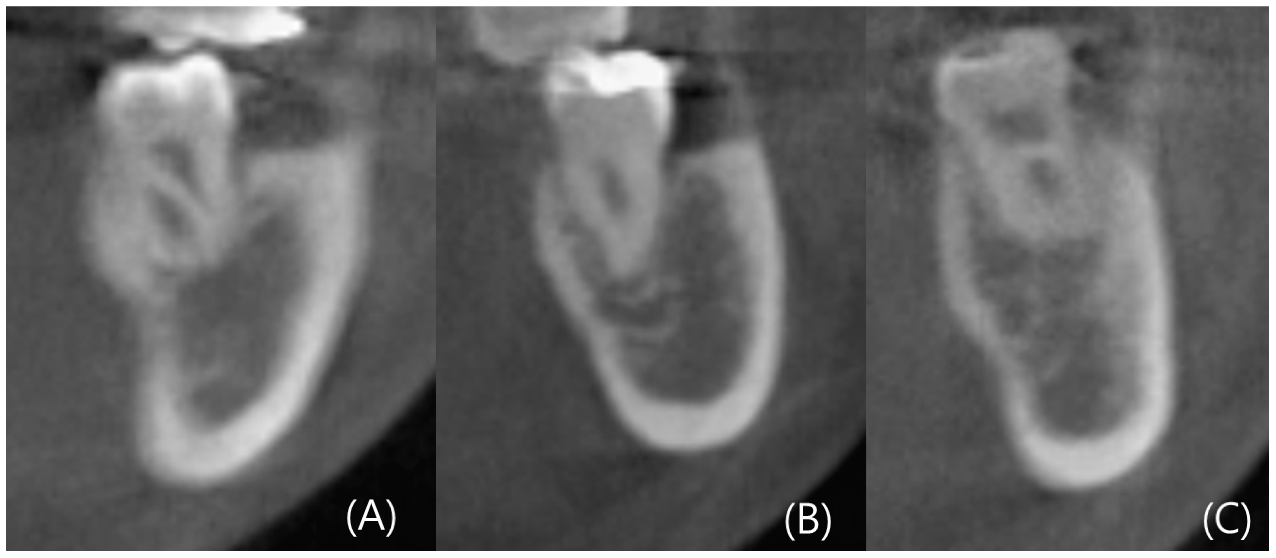 Diagnostics 14 01792 g002