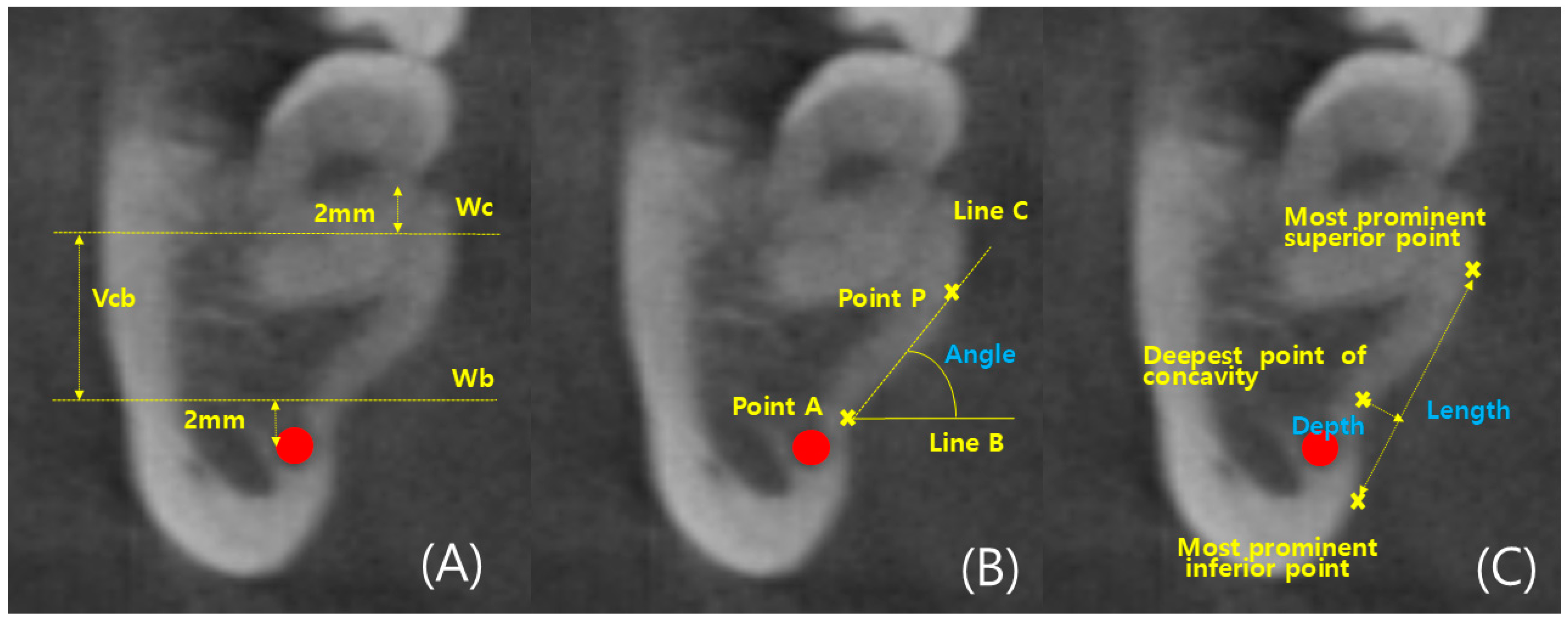 Diagnostics 14 01792 g003