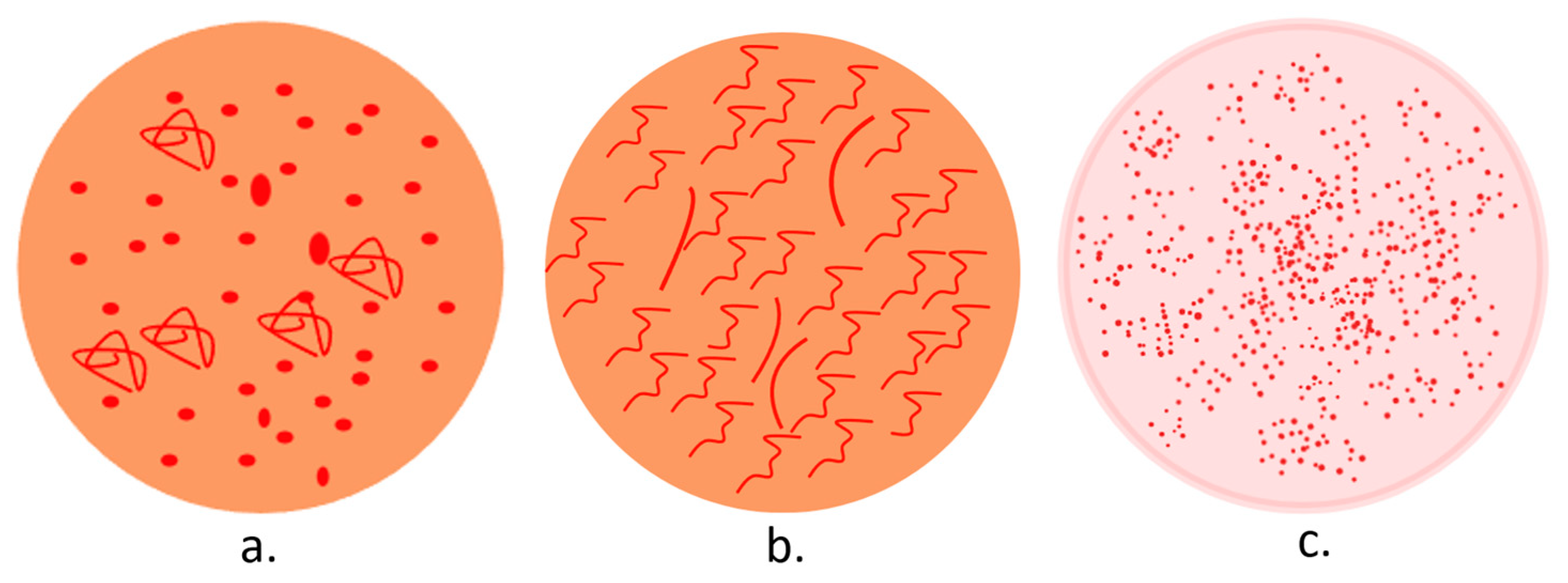 Diagnostics 14 01799 g004 Diagnostics 14 01799 g004