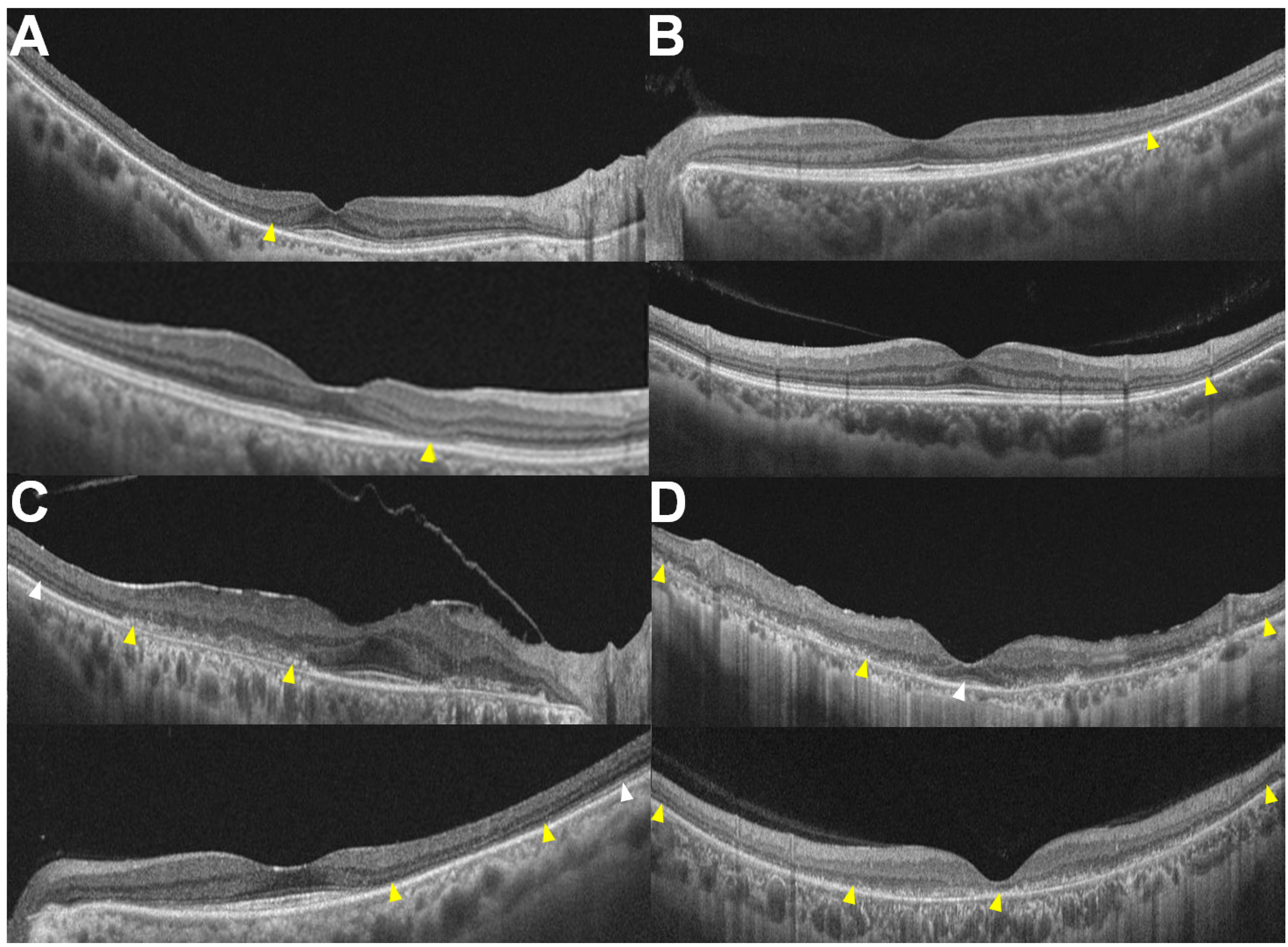 Diagnostics 14 01803 g001