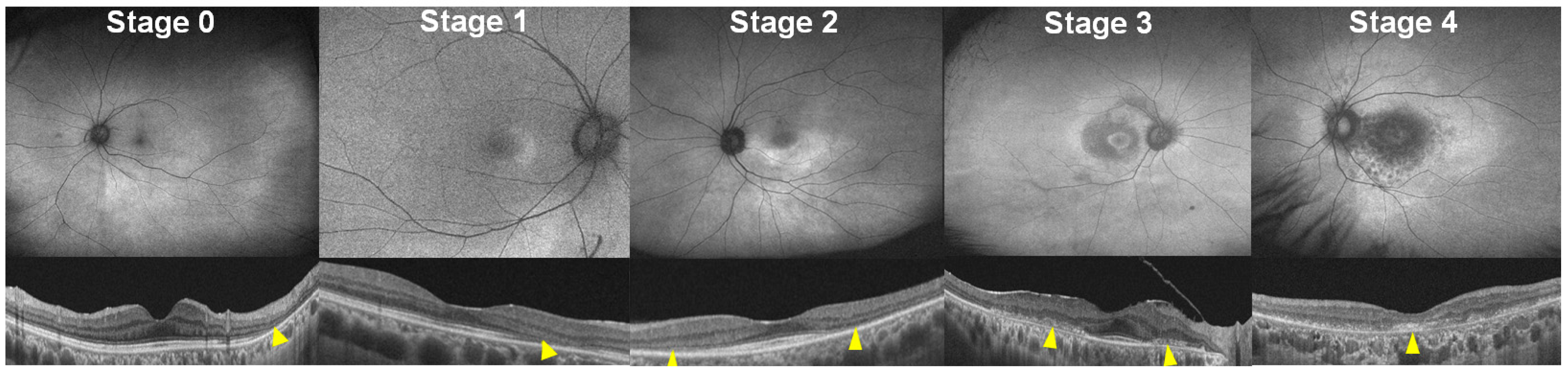 Diagnostics 14 01803 g002
