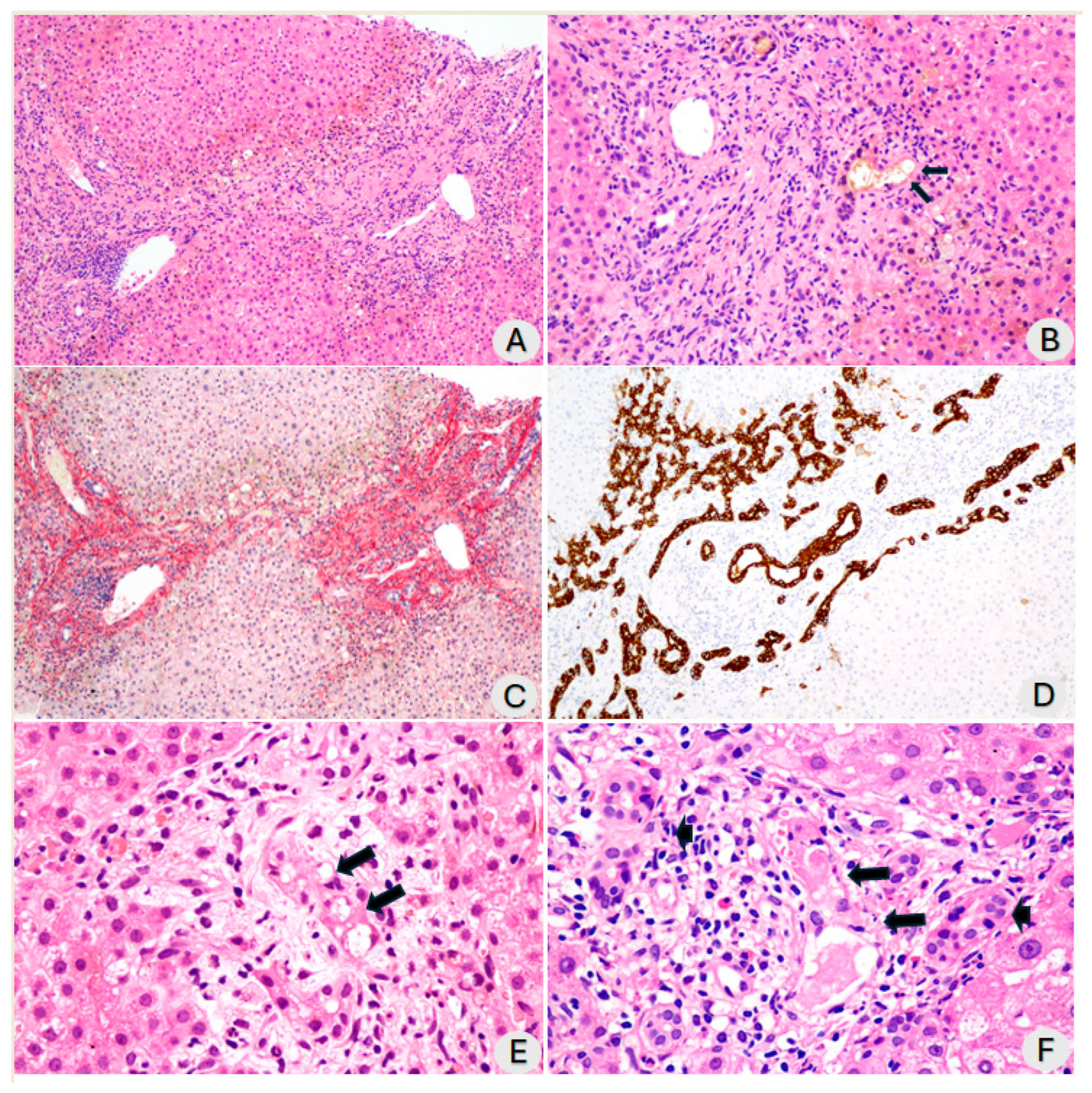 Diagnostics 14 01804 g001