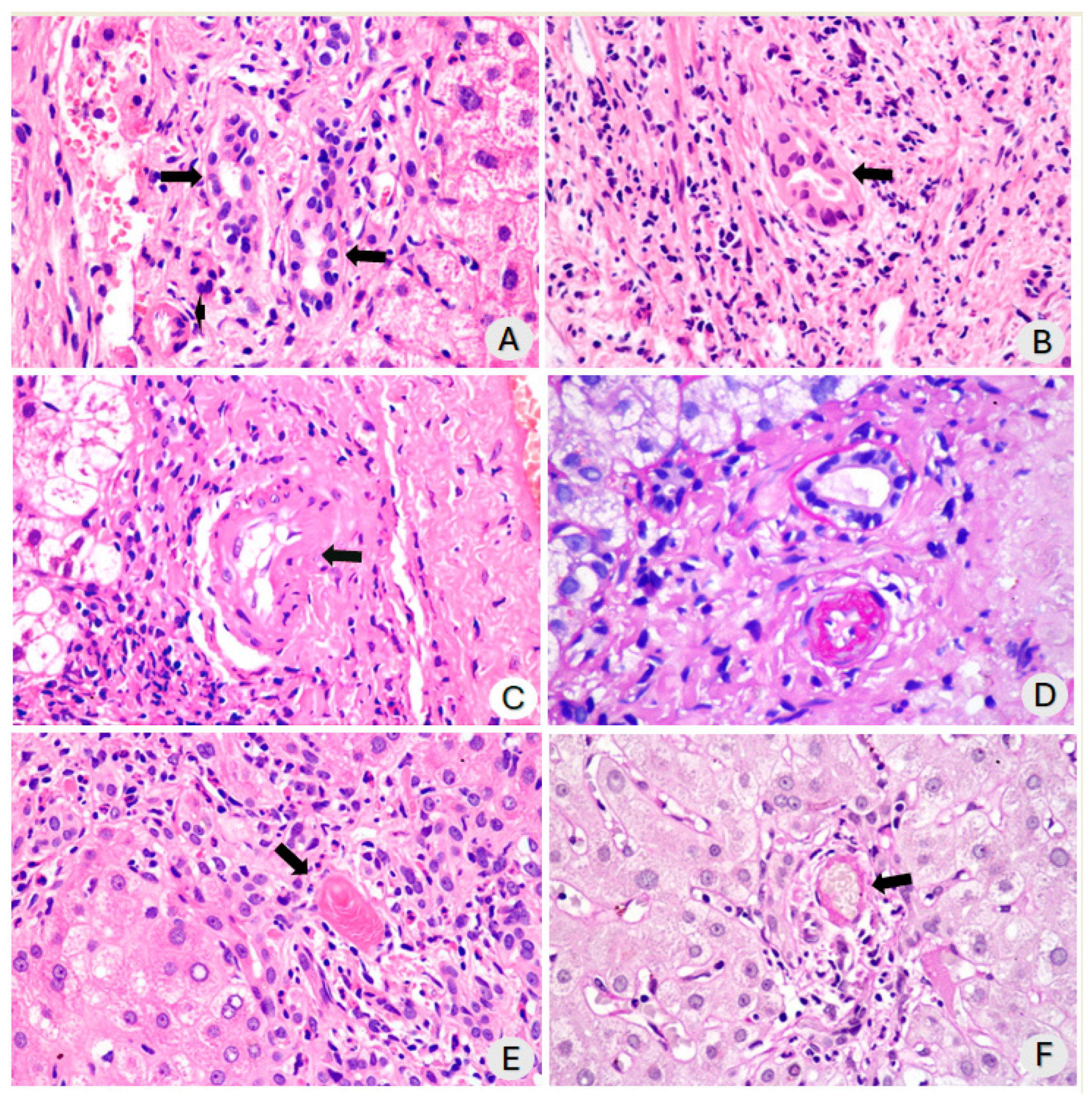 Diagnostics 14 01804 g002