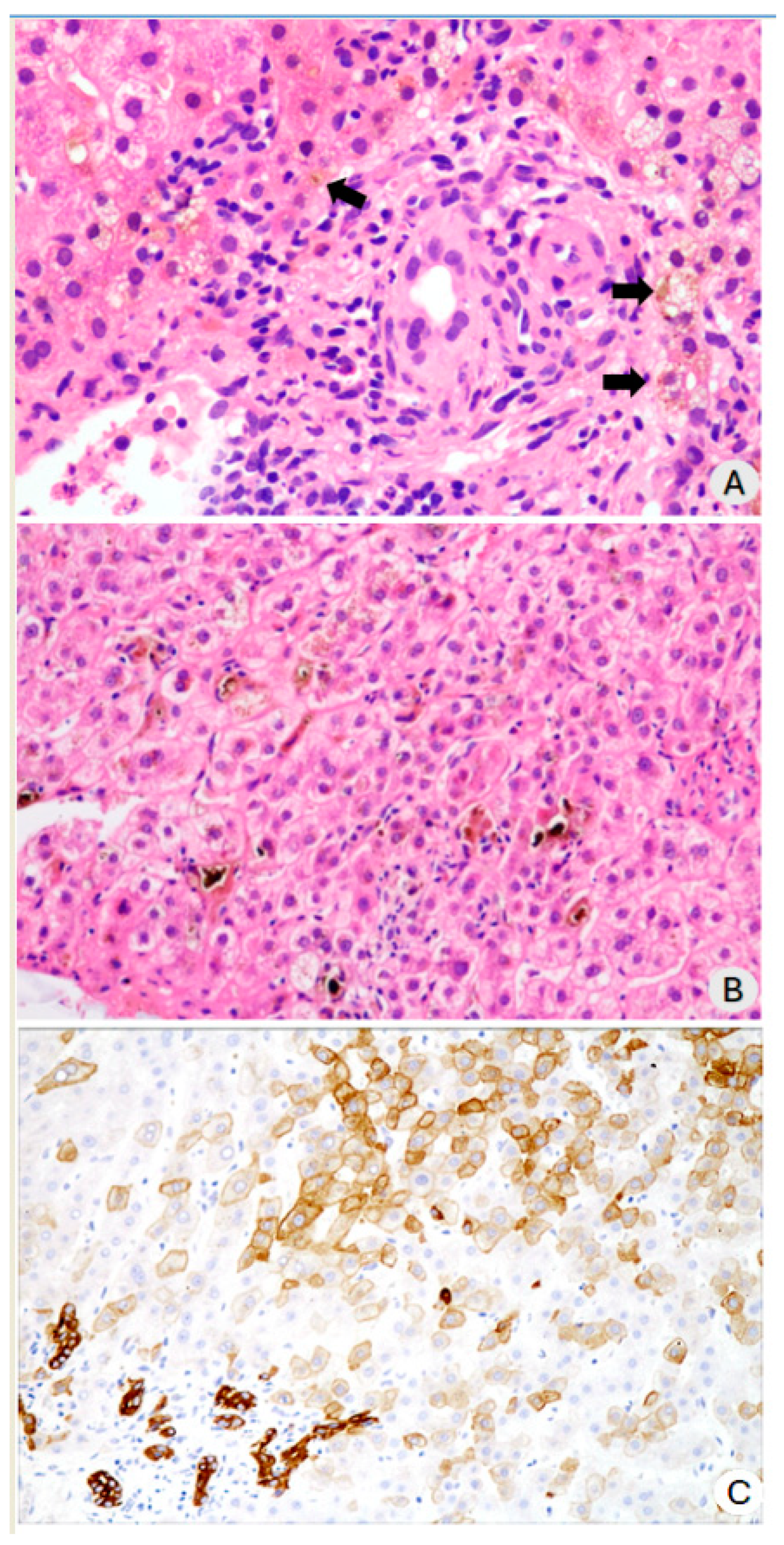 Diagnostics 14 01804 g003