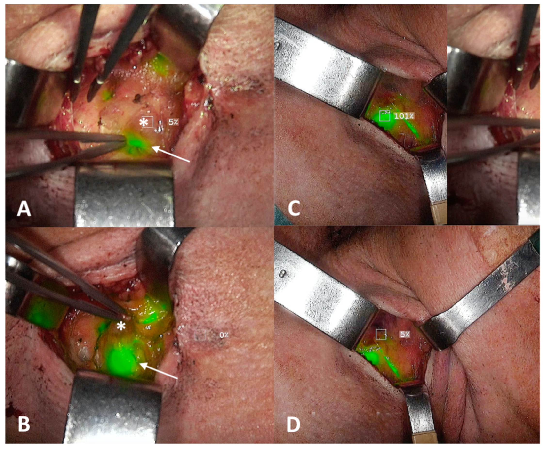 Diagnostics 14 01805 g003