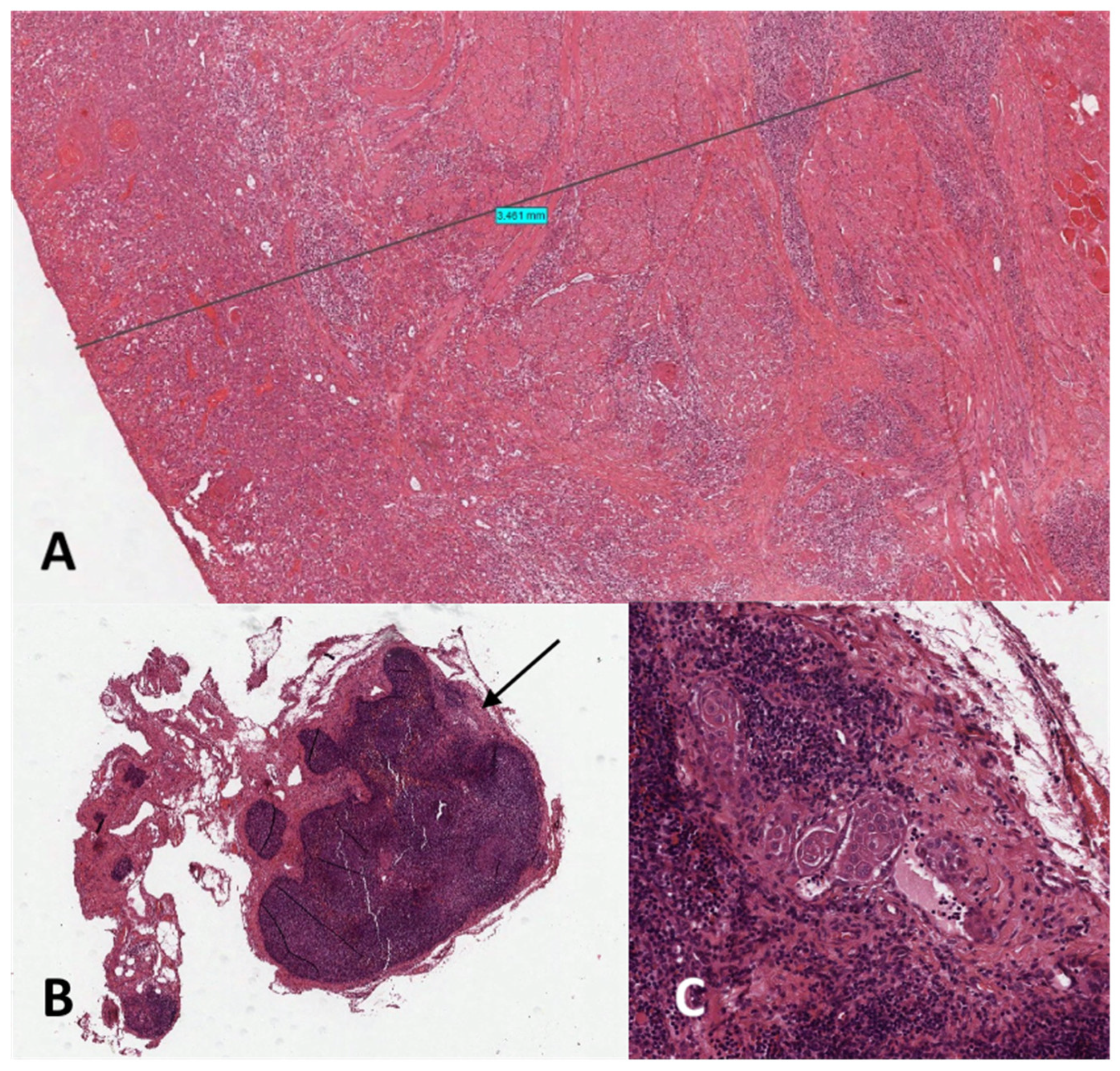 Diagnostics 14 01805 g004