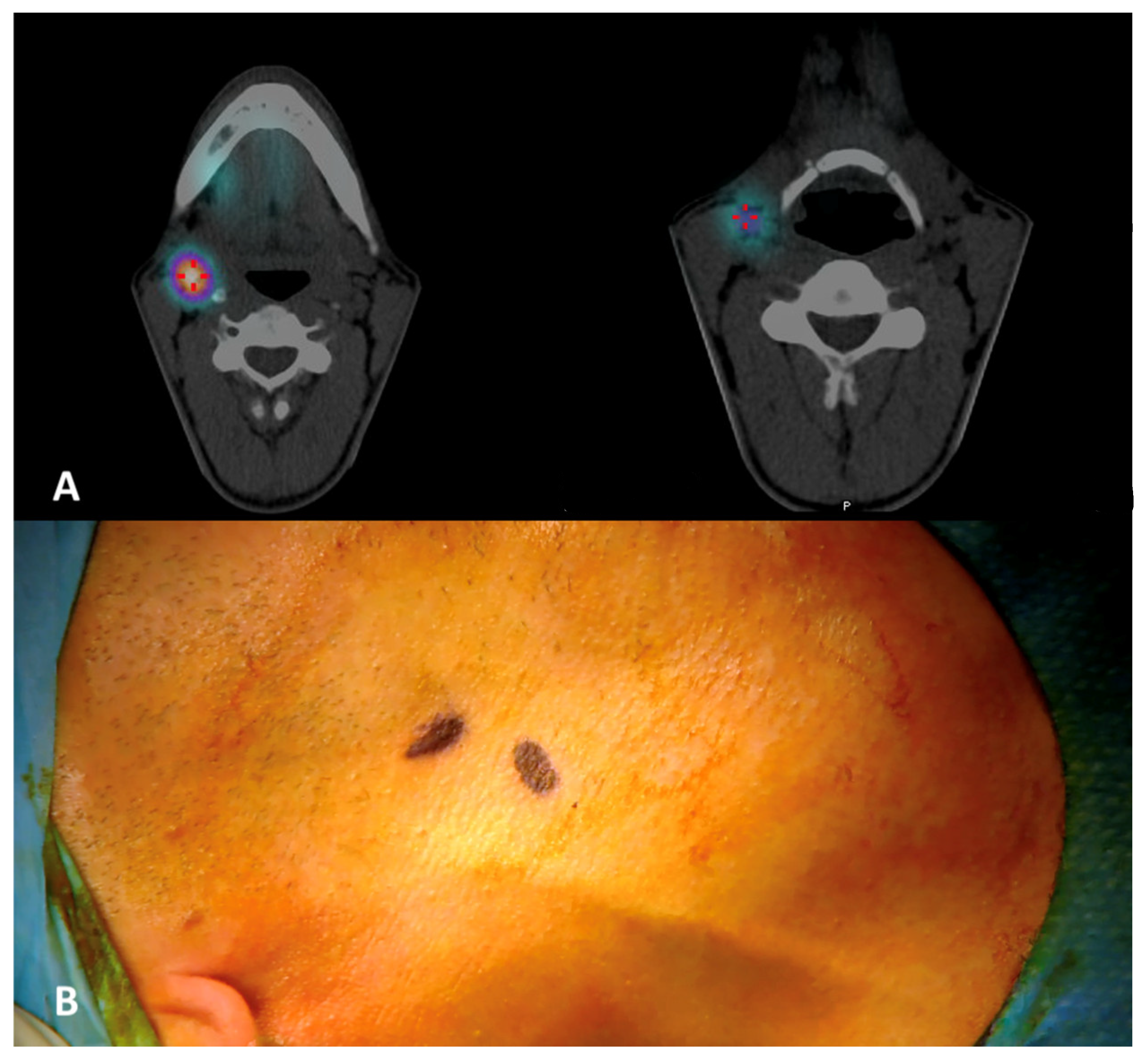 Diagnostics 14 01805 g005