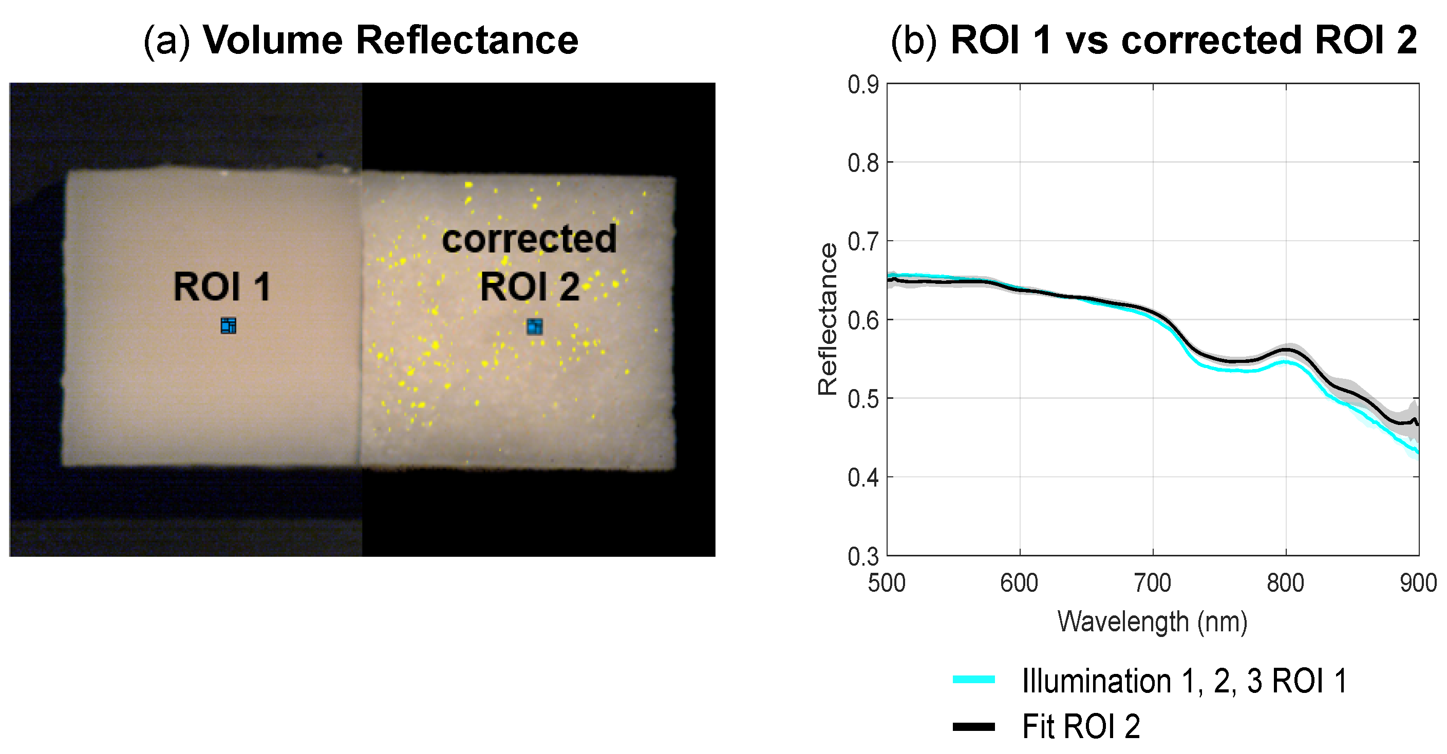 Diagnostics 14 01812 g006