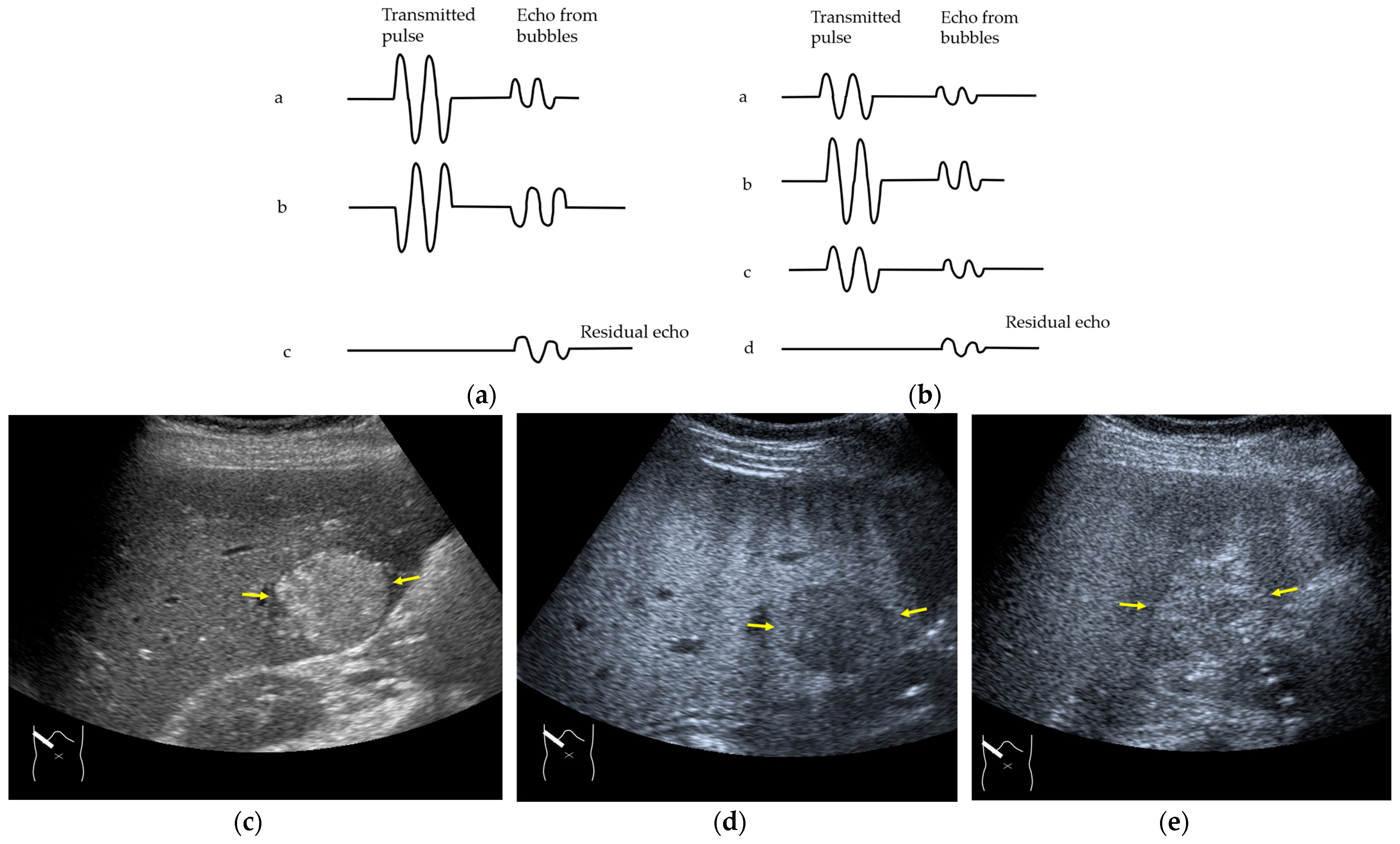 Diagnostics 14 01817 g002
