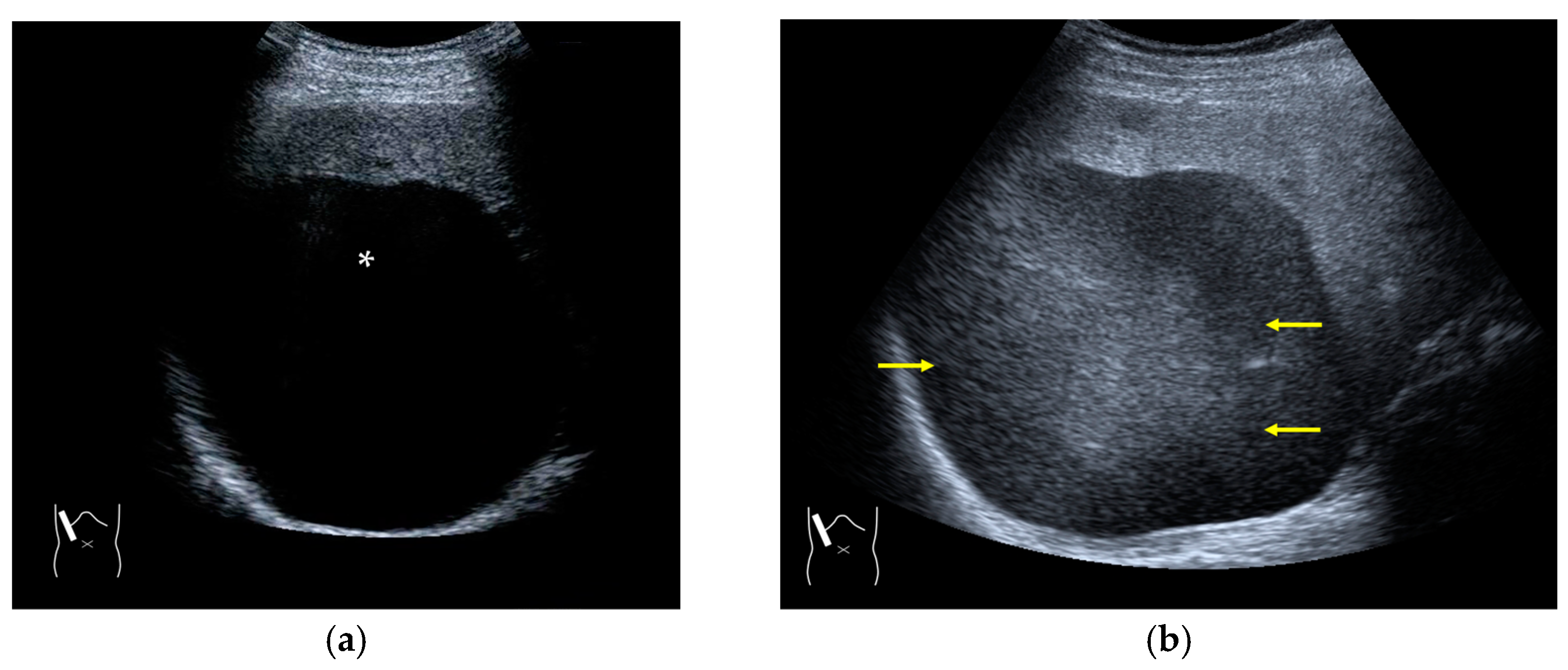 Diagnostics 14 01817 g010a