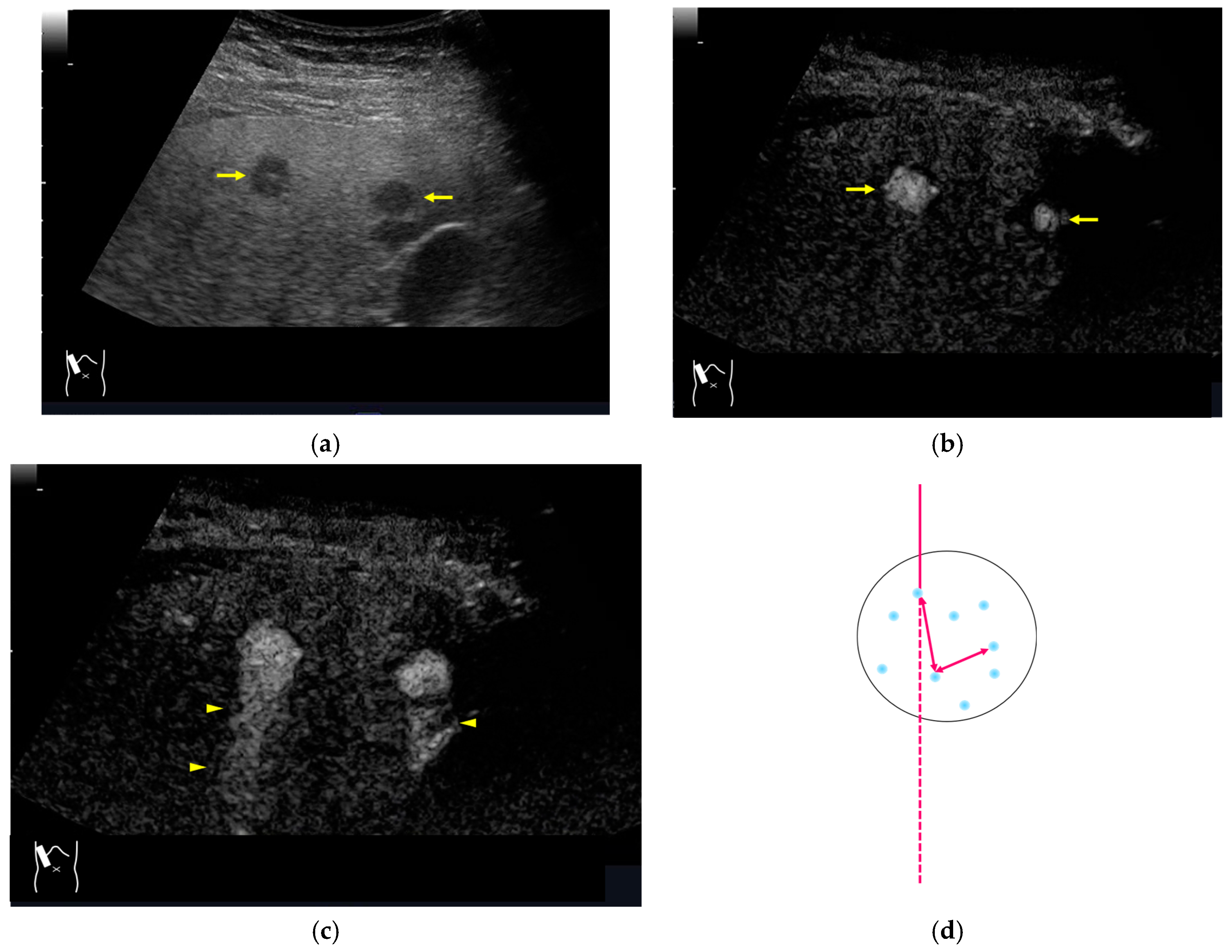 Diagnostics 14 01817 g014