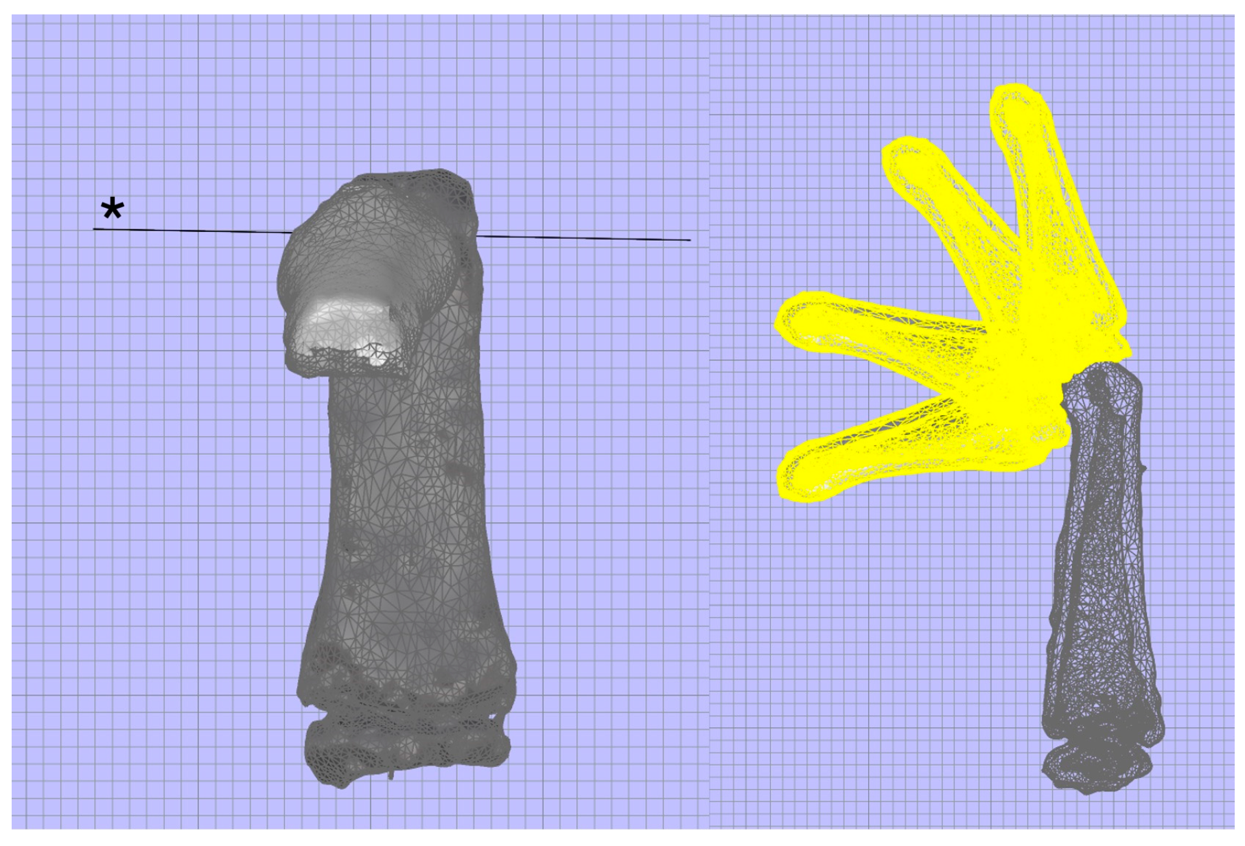 Diagnostics 14 01818 g001