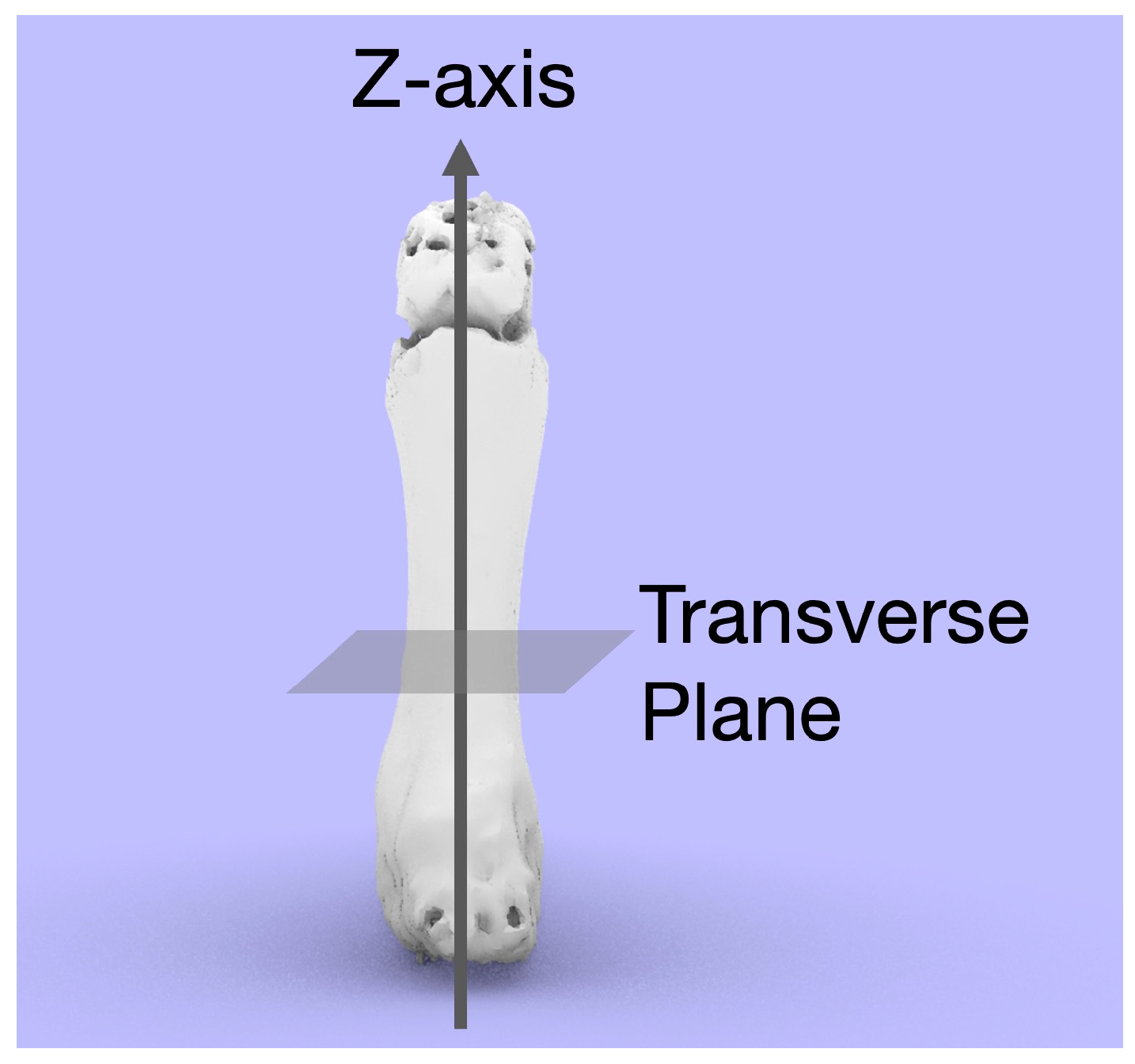Diagnostics 14 01818 g002