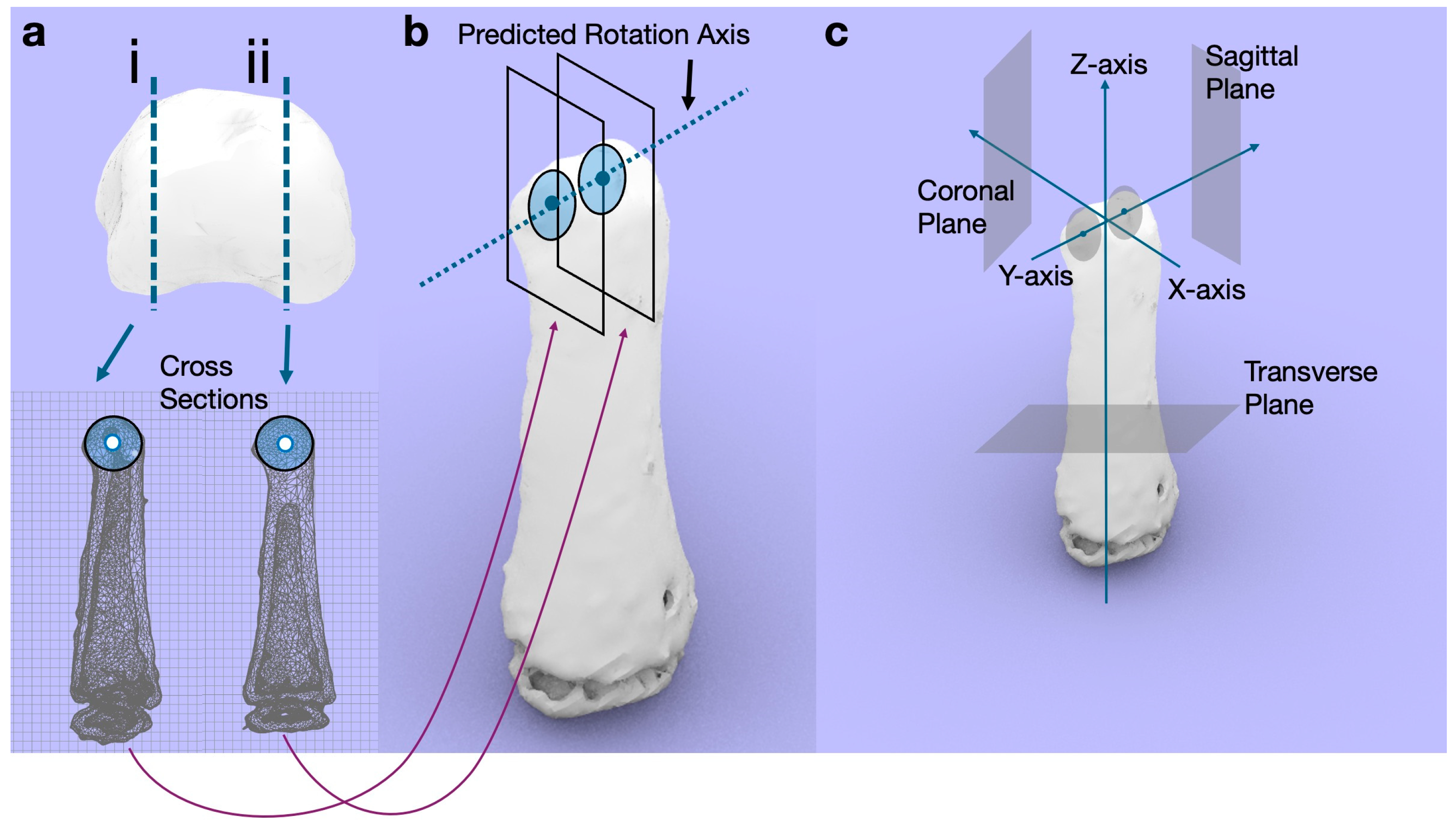 Diagnostics 14 01818 g003