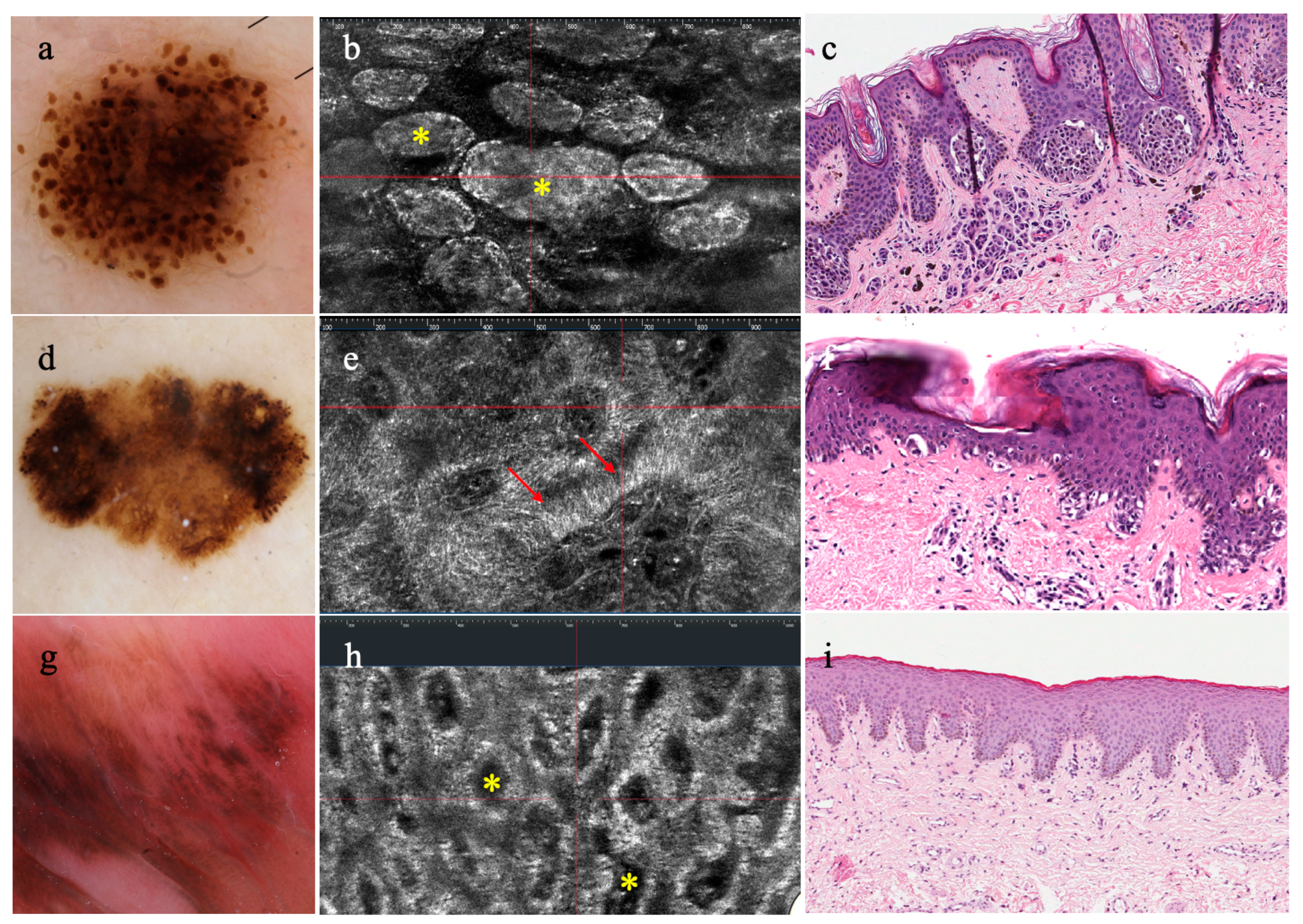 Diagnostics 14 01821 g002