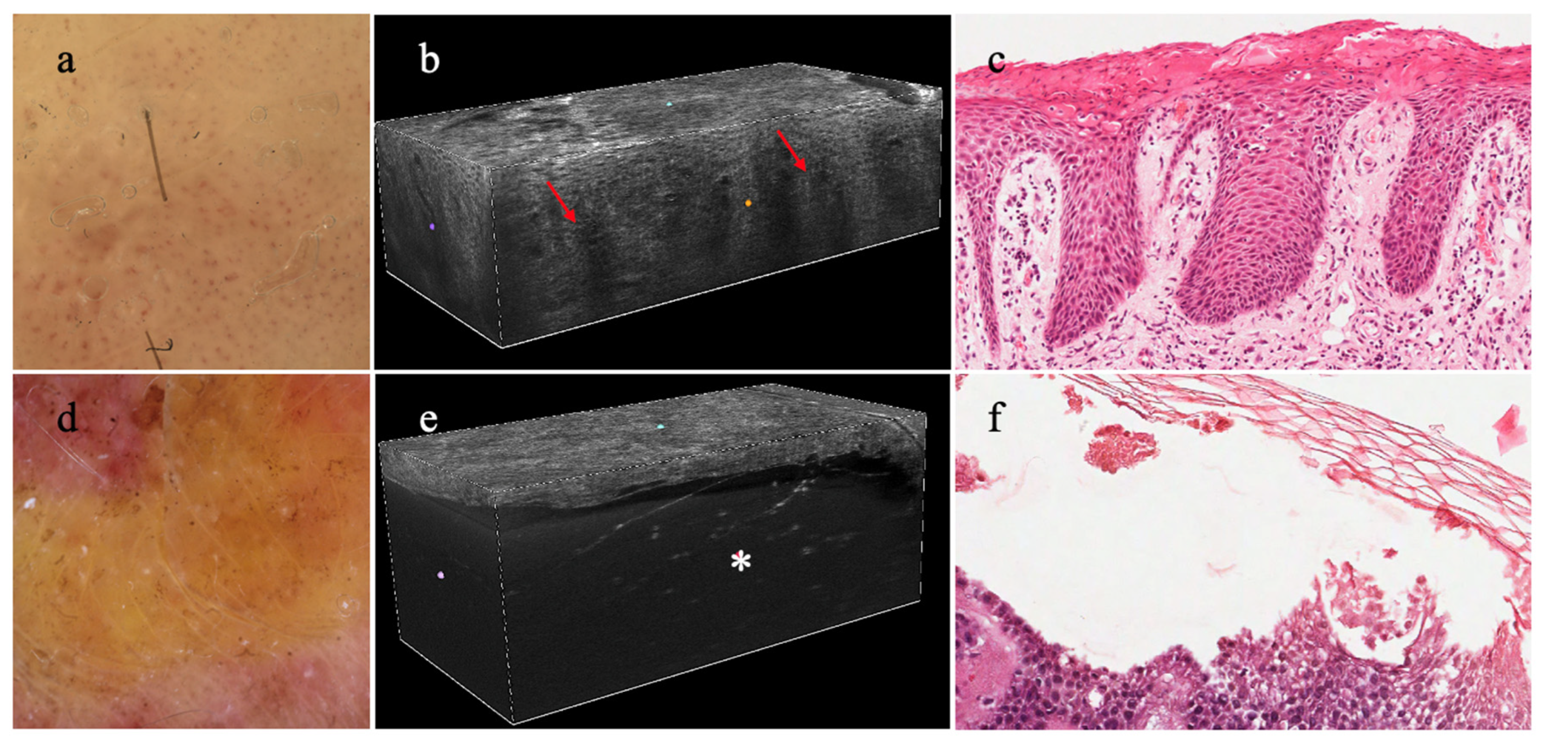 Diagnostics 14 01821 g004