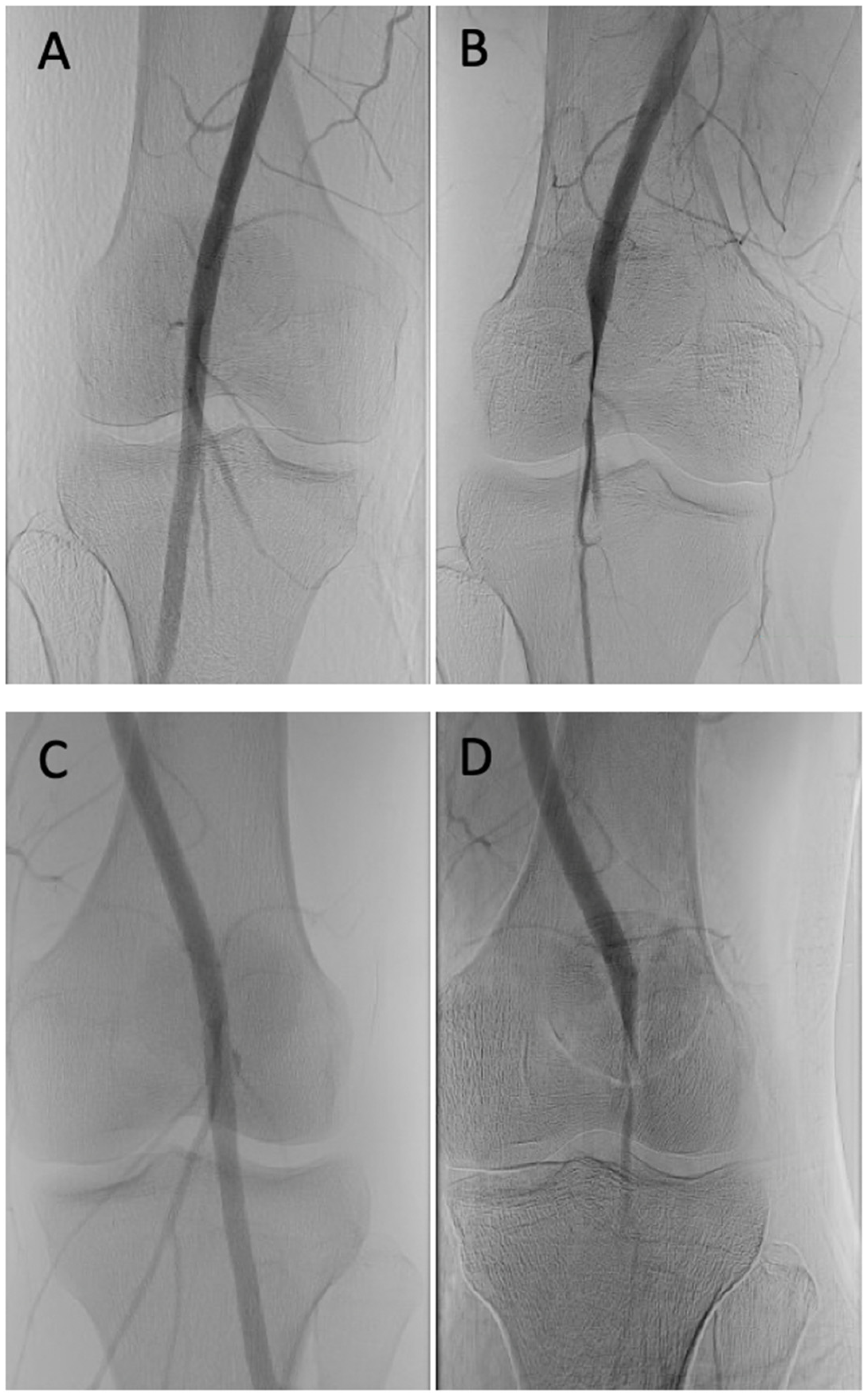 Diagnostics 14 01825 g003