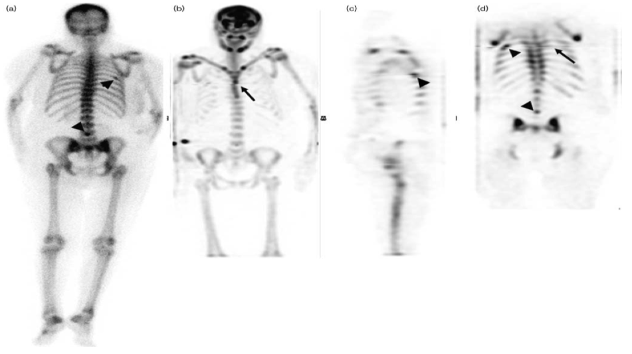 Diagnostics 14 01827 g003