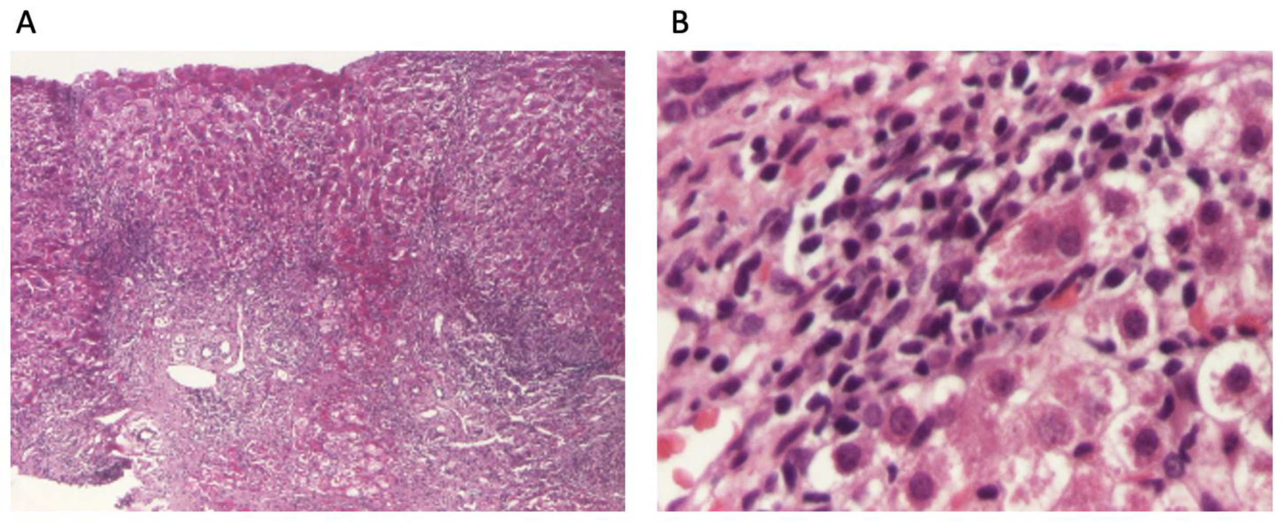 Diagnostics 14 01832 g001
