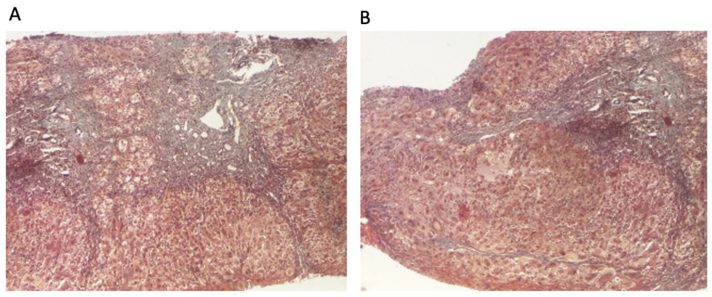 Diagnostics 14 01832 g002