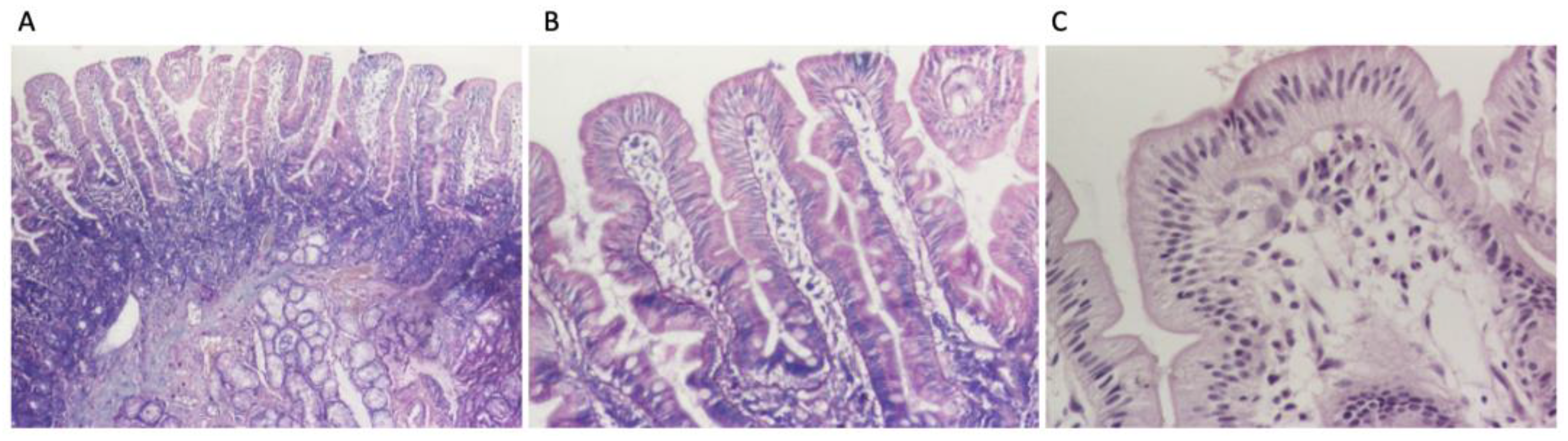 Diagnostics 14 01832 g003