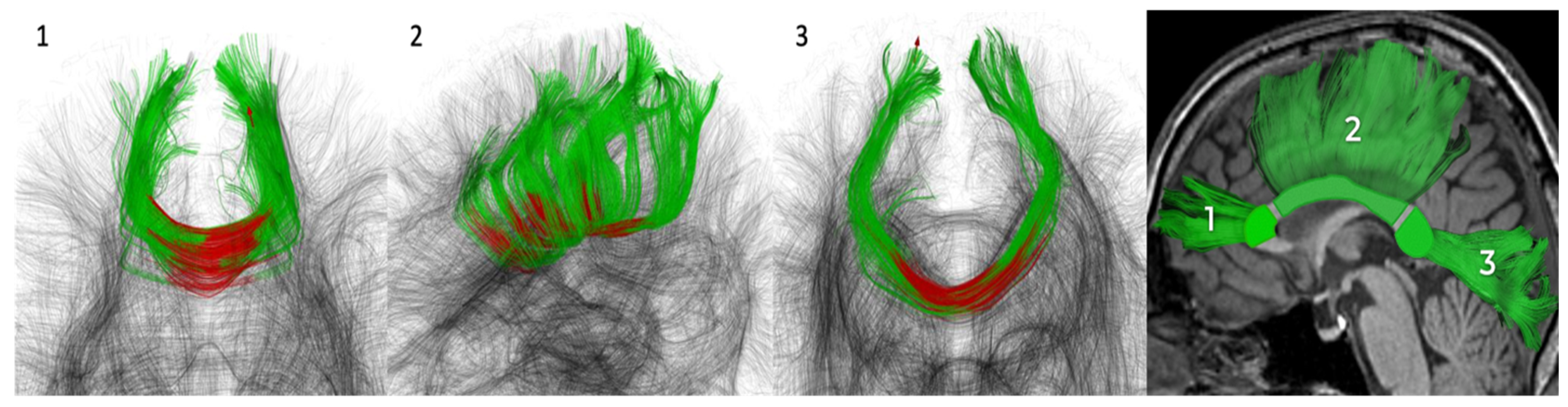 Diagnostics 14 01838 g001