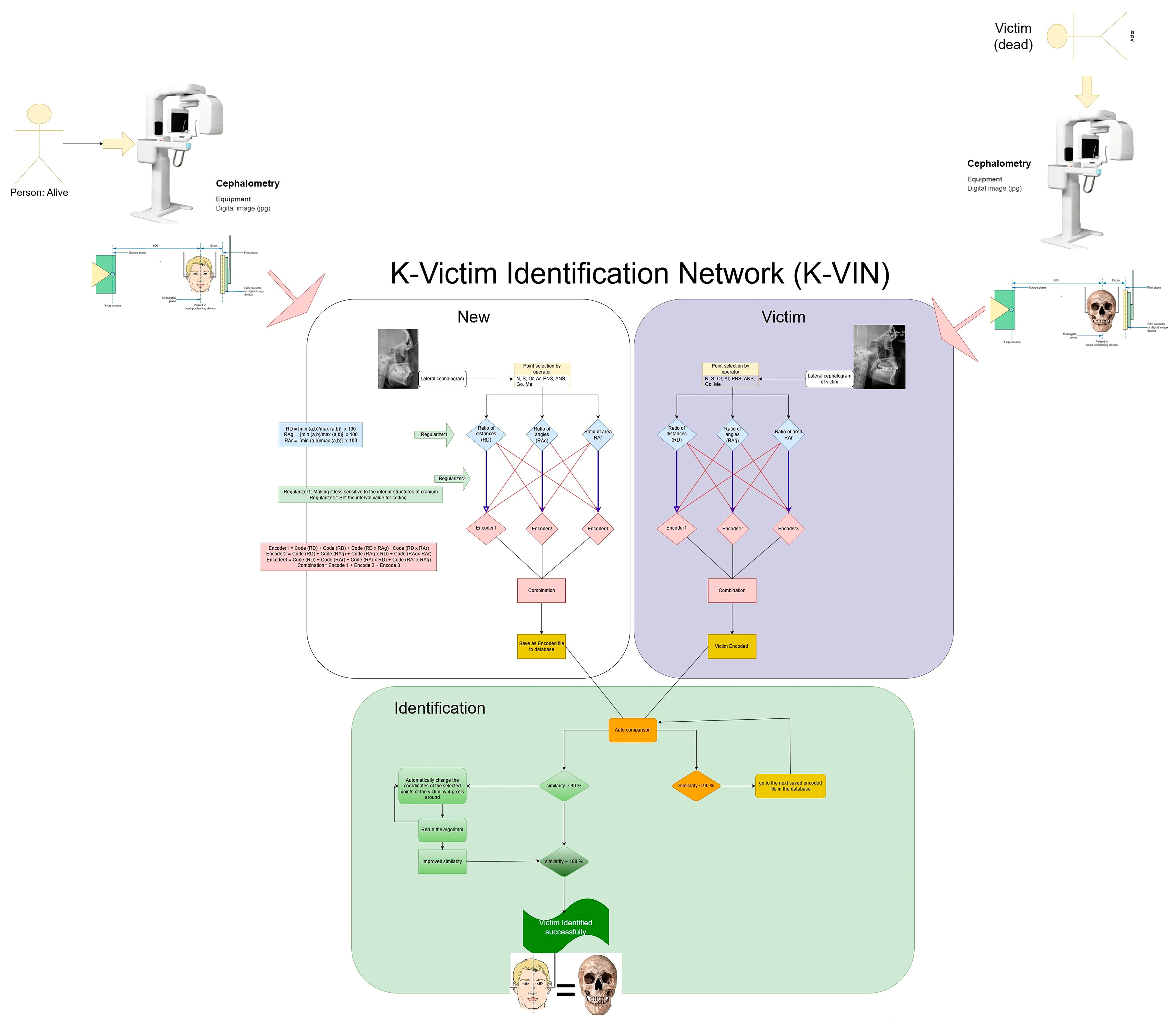 Diagnostics 14 01840 g001 Diagnostics 14 01840 g001