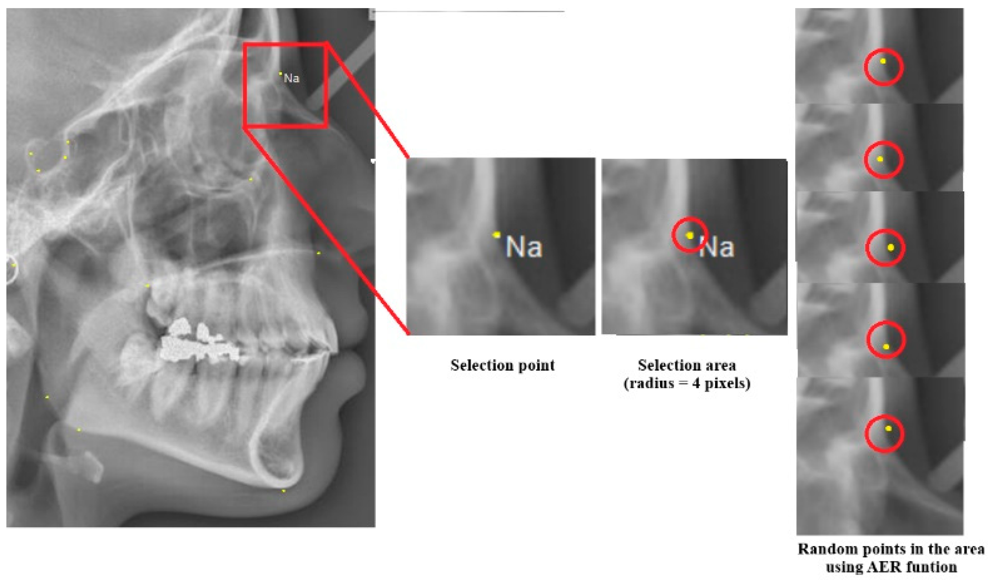 Diagnostics 14 01840 g004 Diagnostics 14 01840 g004