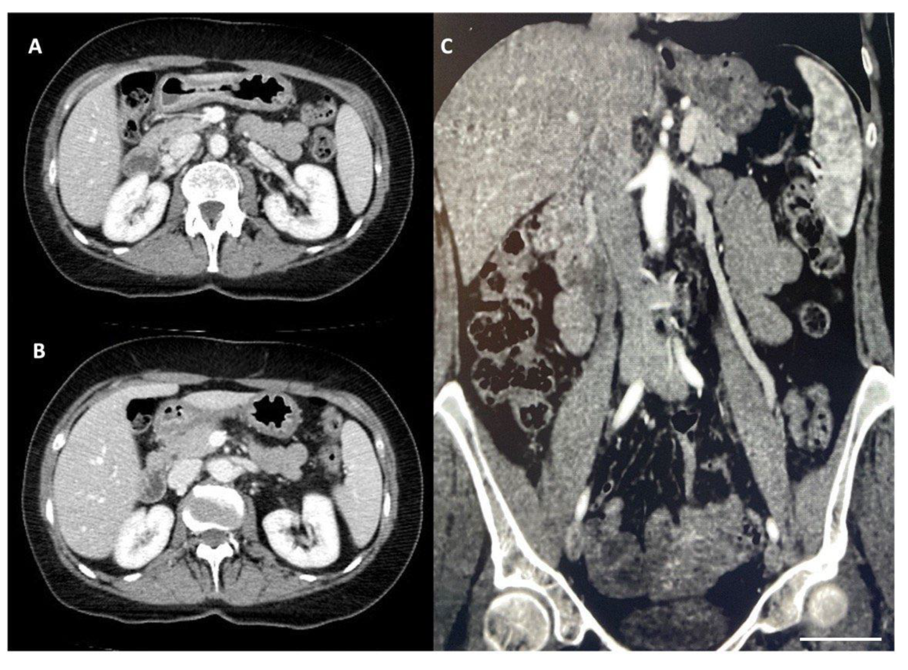 Diagnostics 14 01844 g003