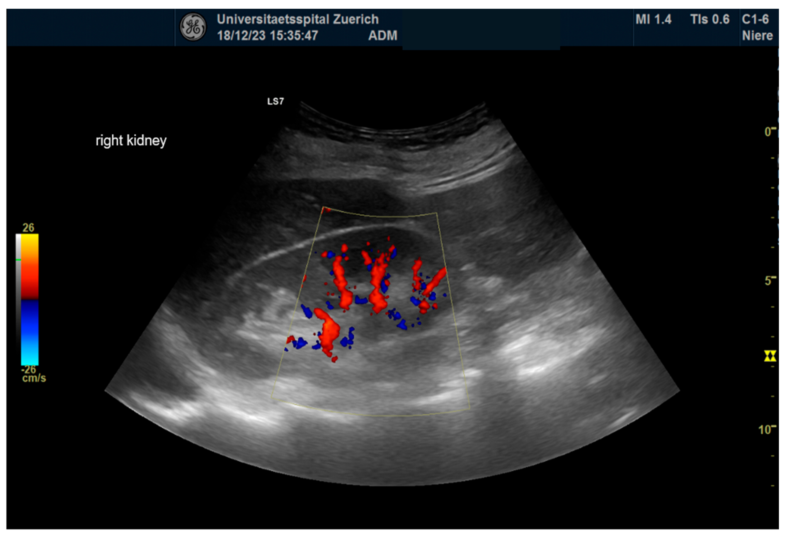 Diagnostics 14 01860 g003