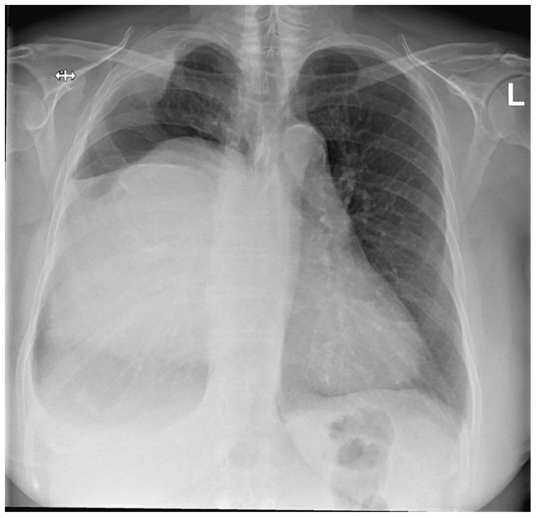 Diagnostics 14 01873 g001