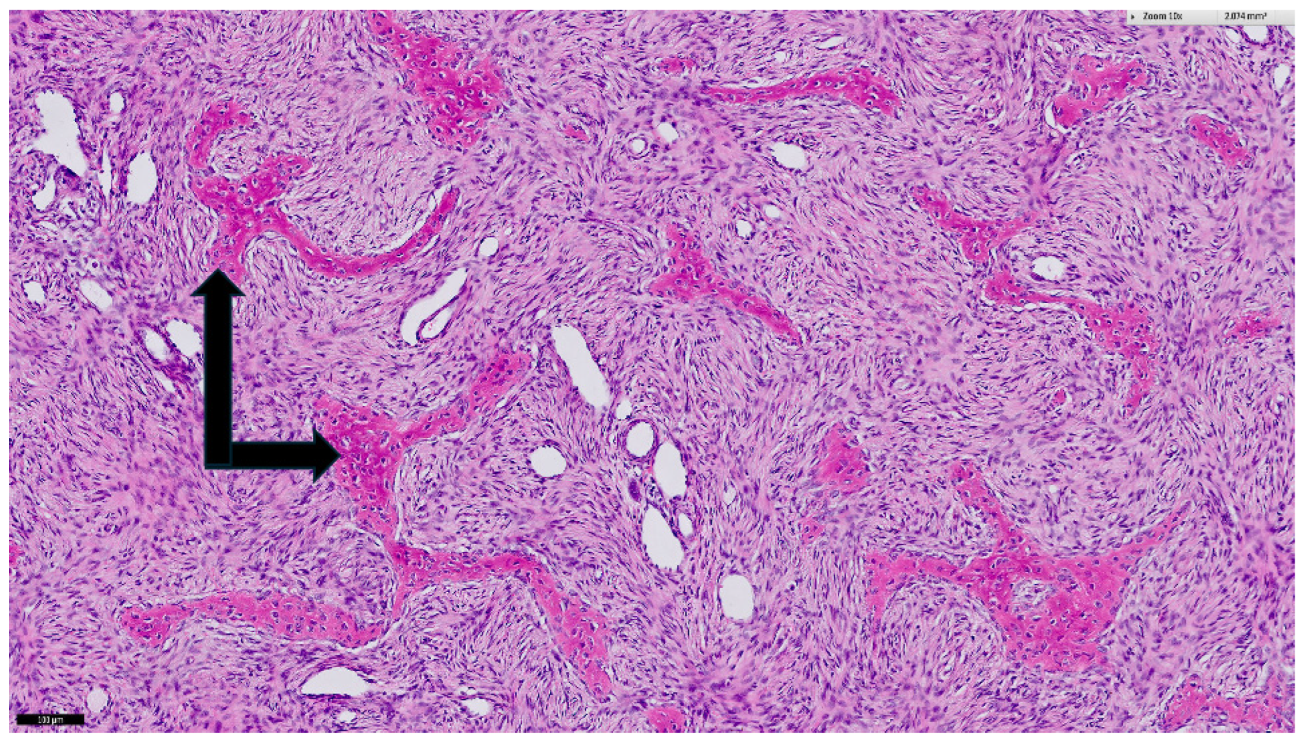 Diagnostics 14 01873 g006