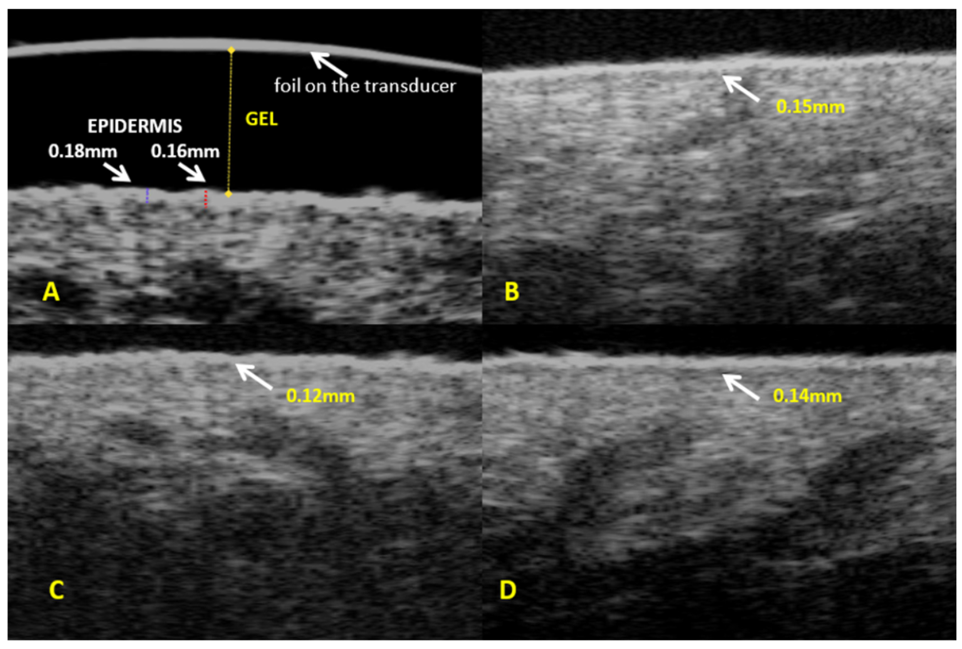 Diagnostics 14 01878 g001