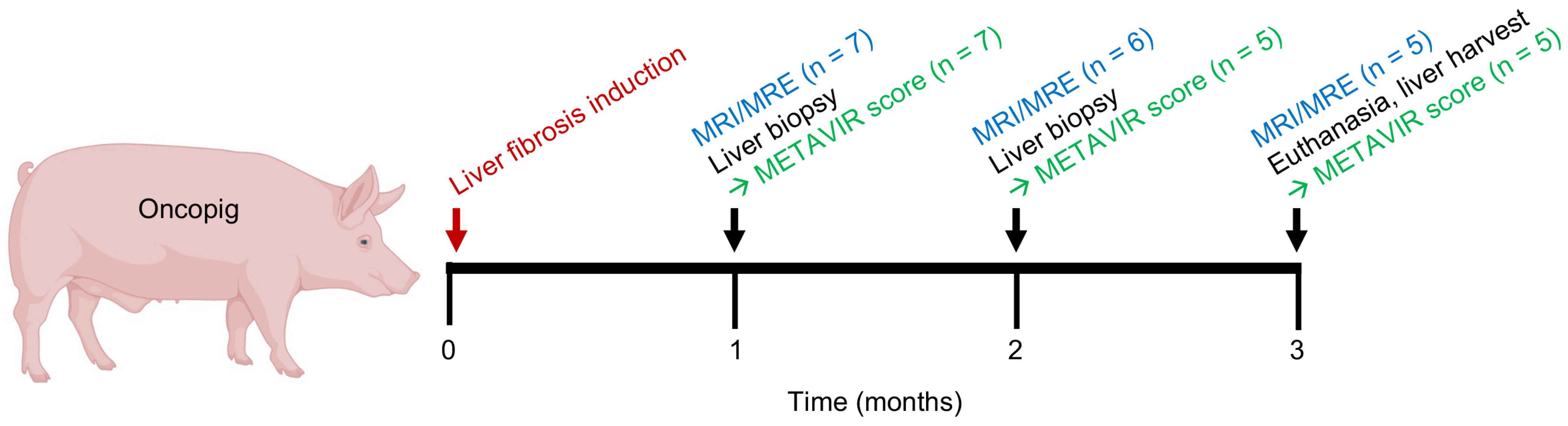 Diagnostics 14 01880 g001