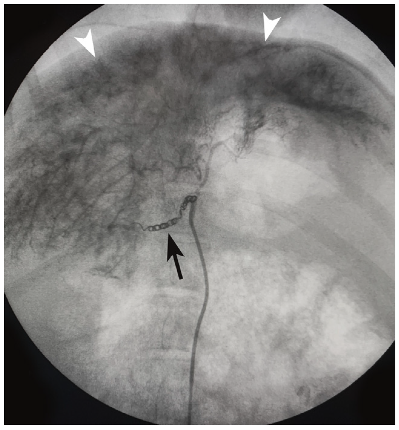 Diagnostics 14 01880 g002