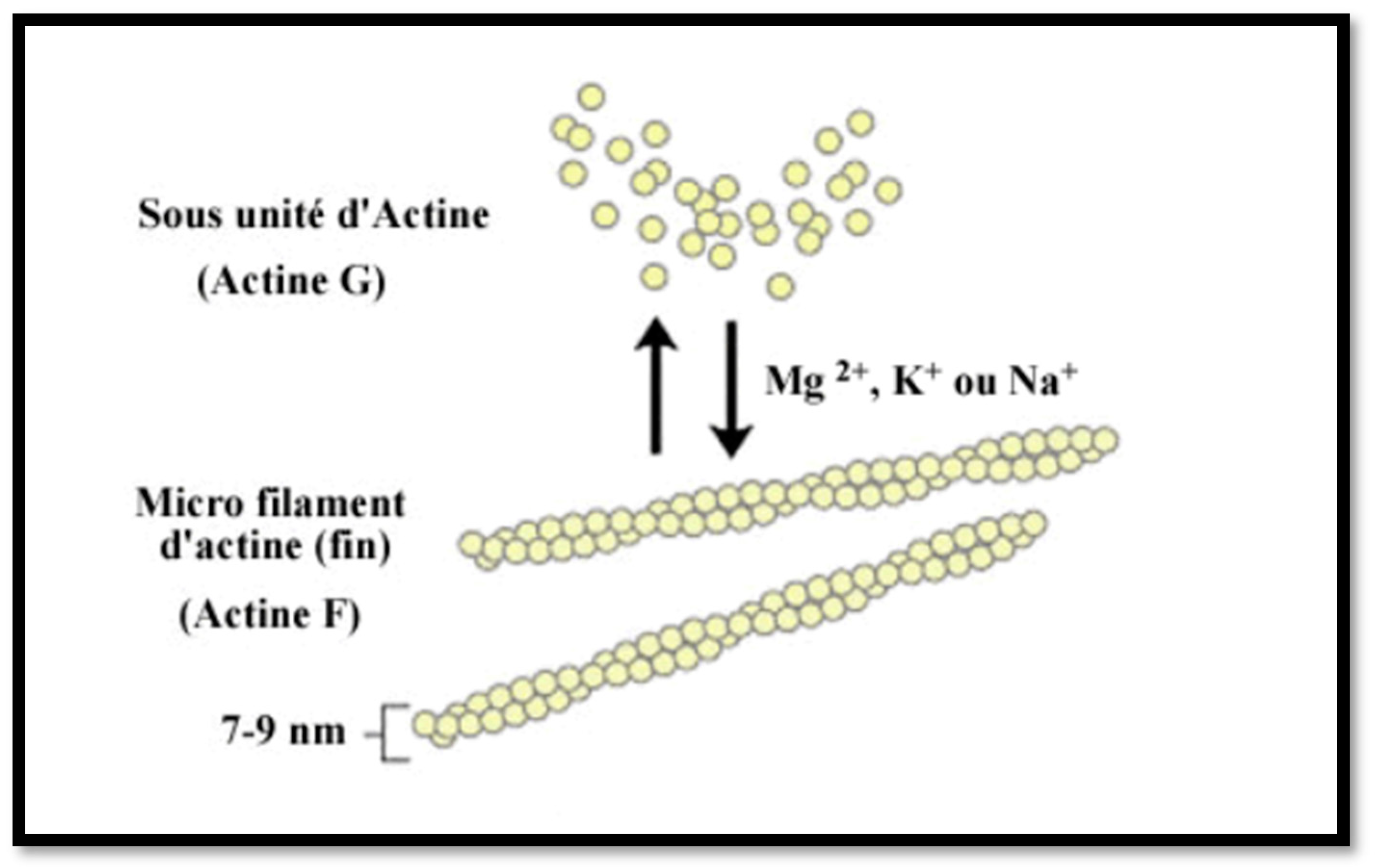 Diagnostics 14 01882 g004