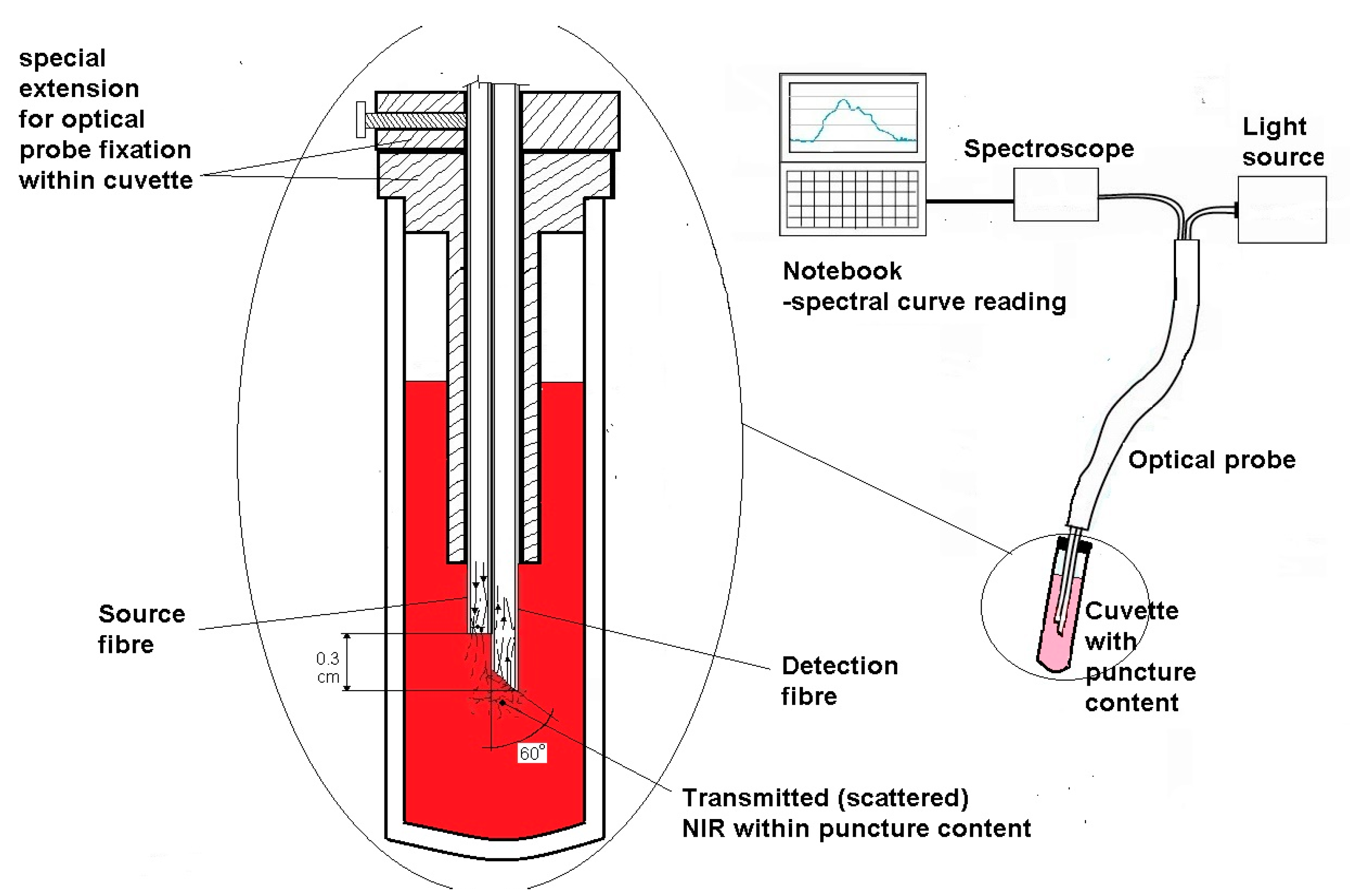Diagnostics 14 01887 g001