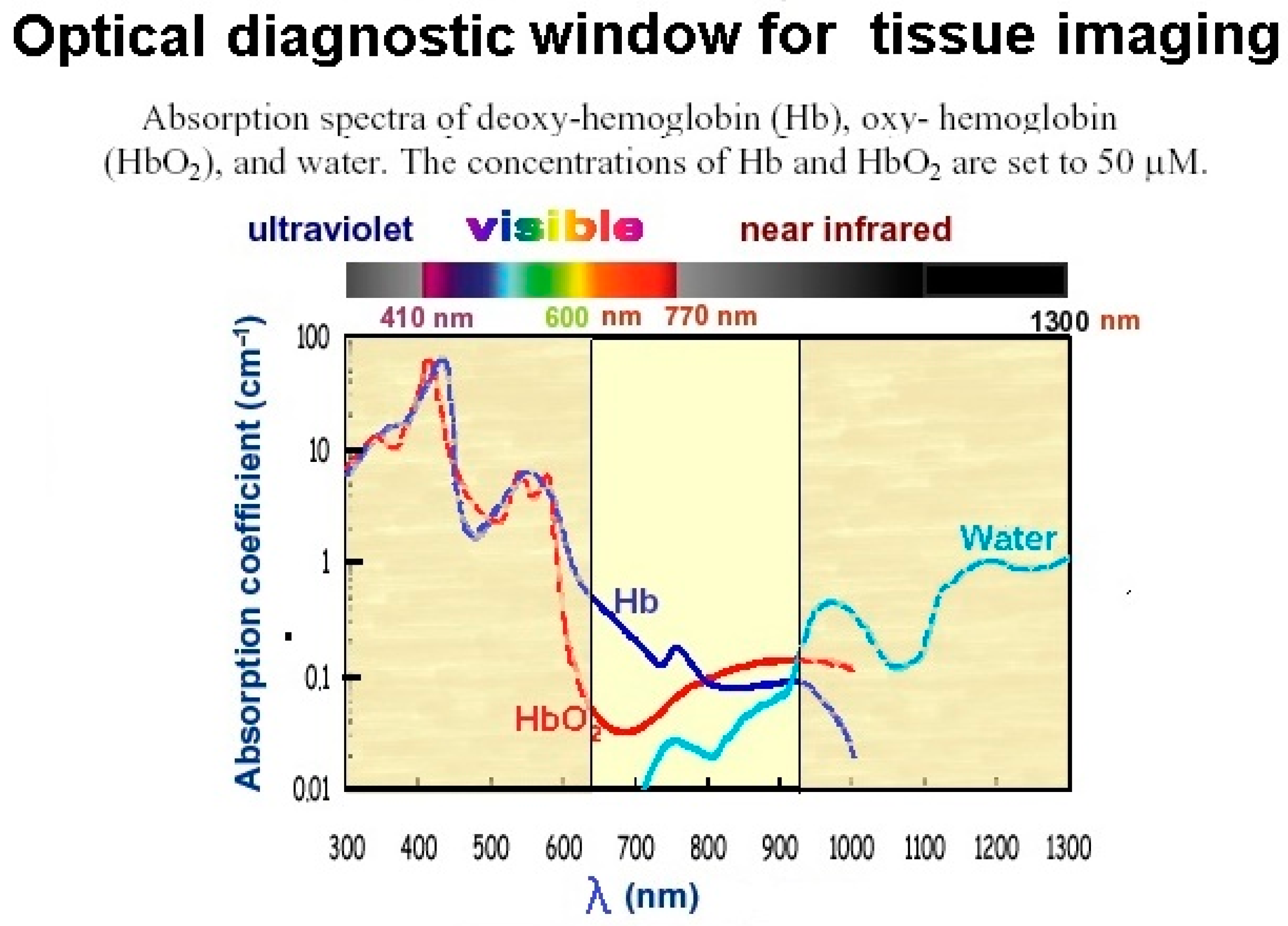 Diagnostics 14 01887 g002