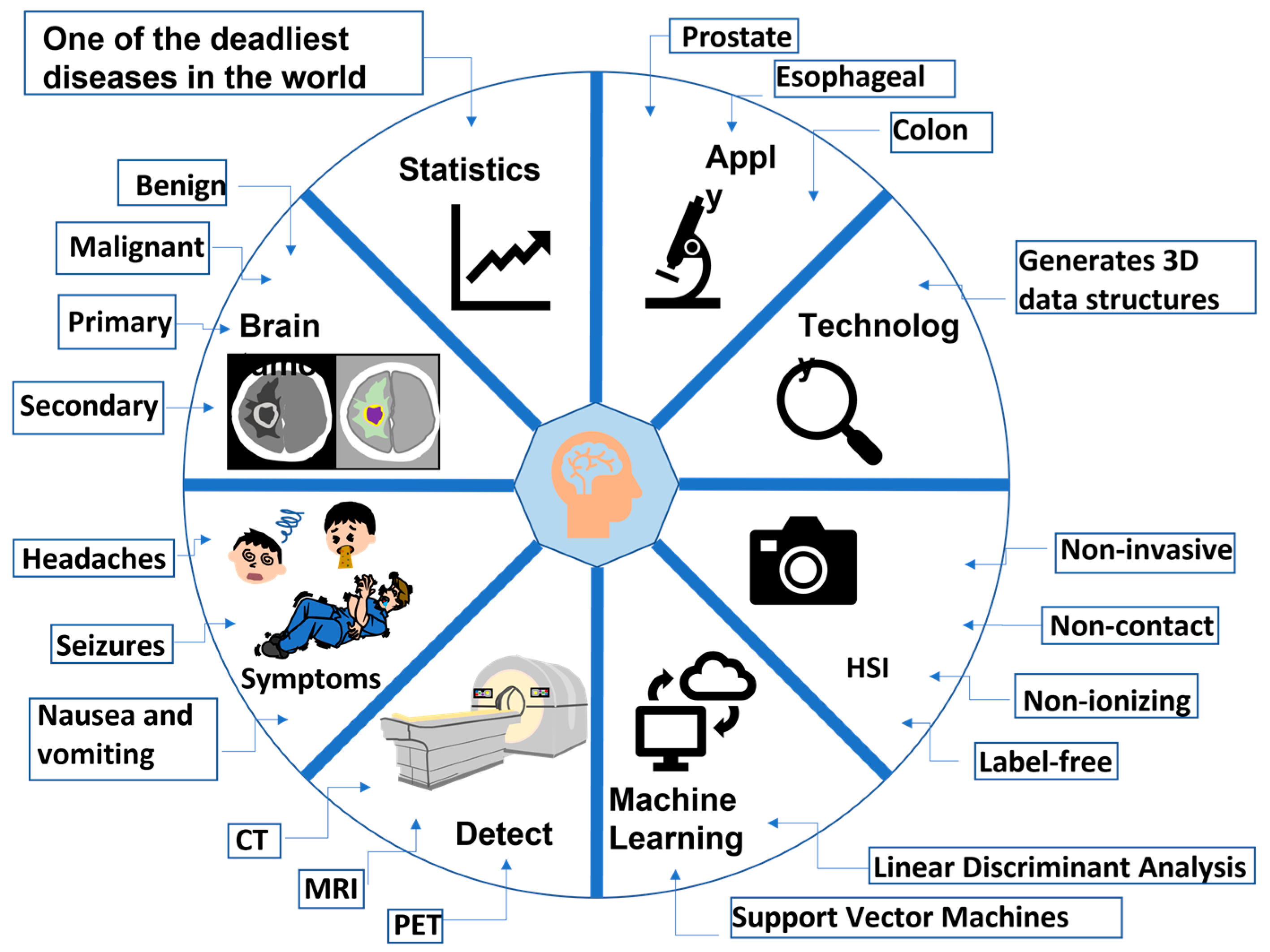 Diagnostics 14 01888 g001