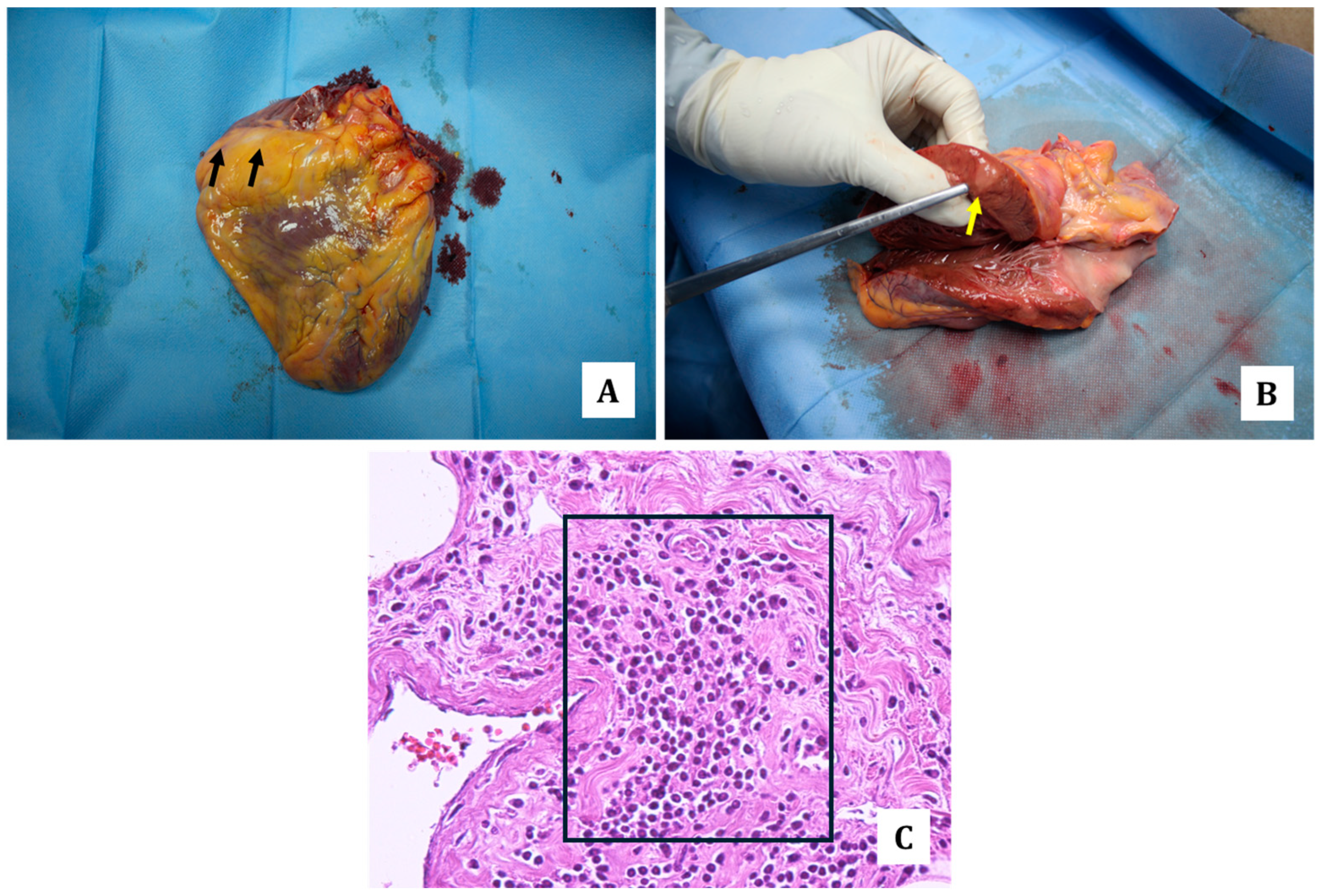 Diagnostics 14 01901 g003