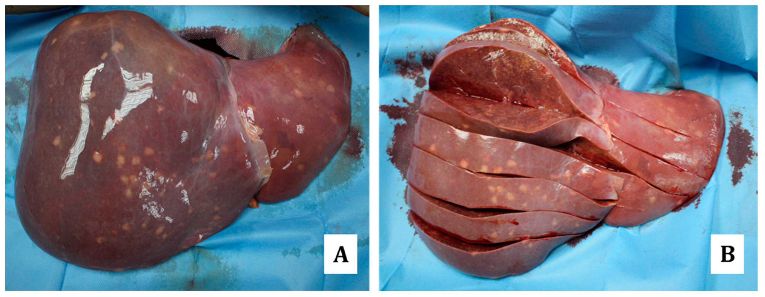 Diagnostics 14 01901 g004